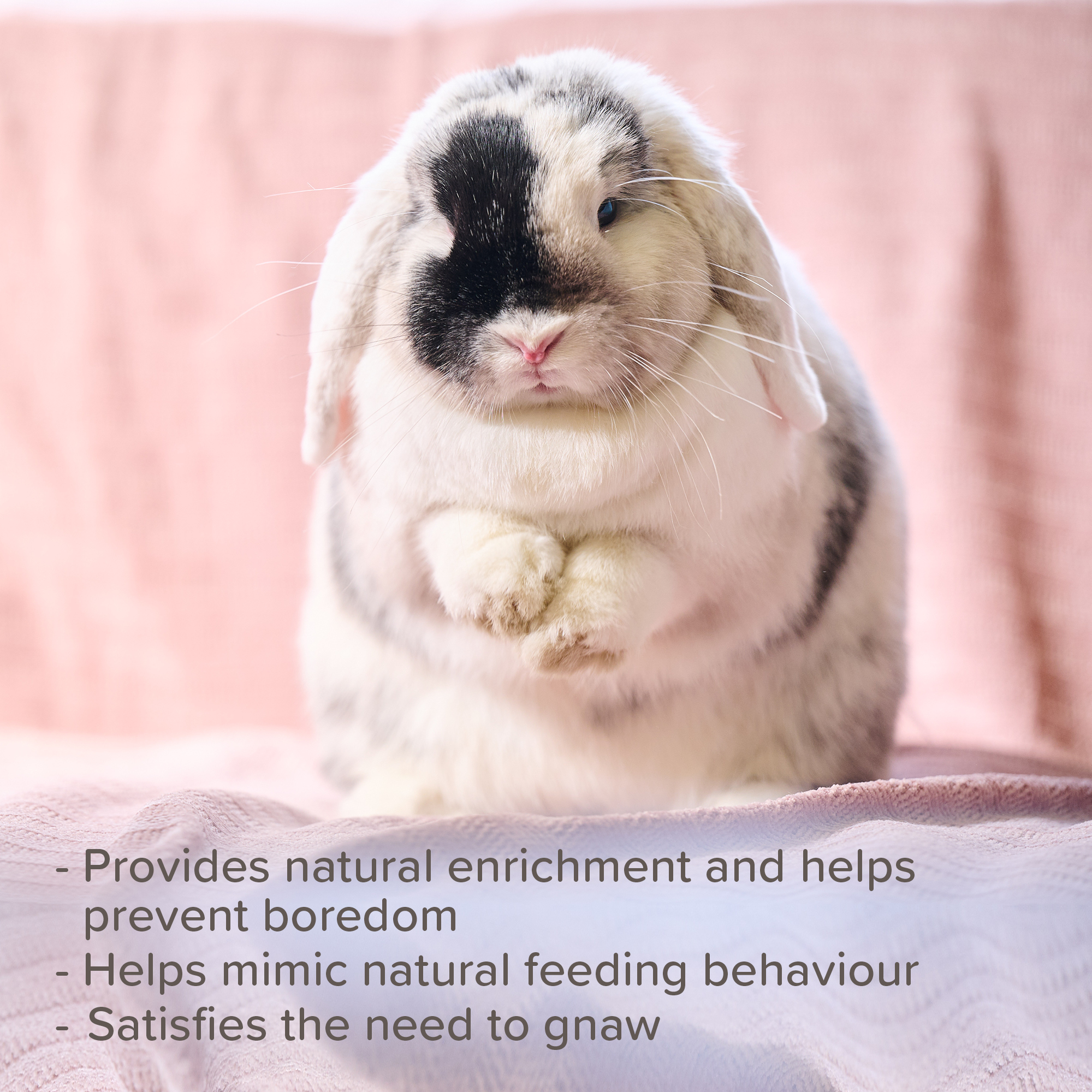 Beaphar Dental Crunch Sticks for Small Animals, 2 Sticks