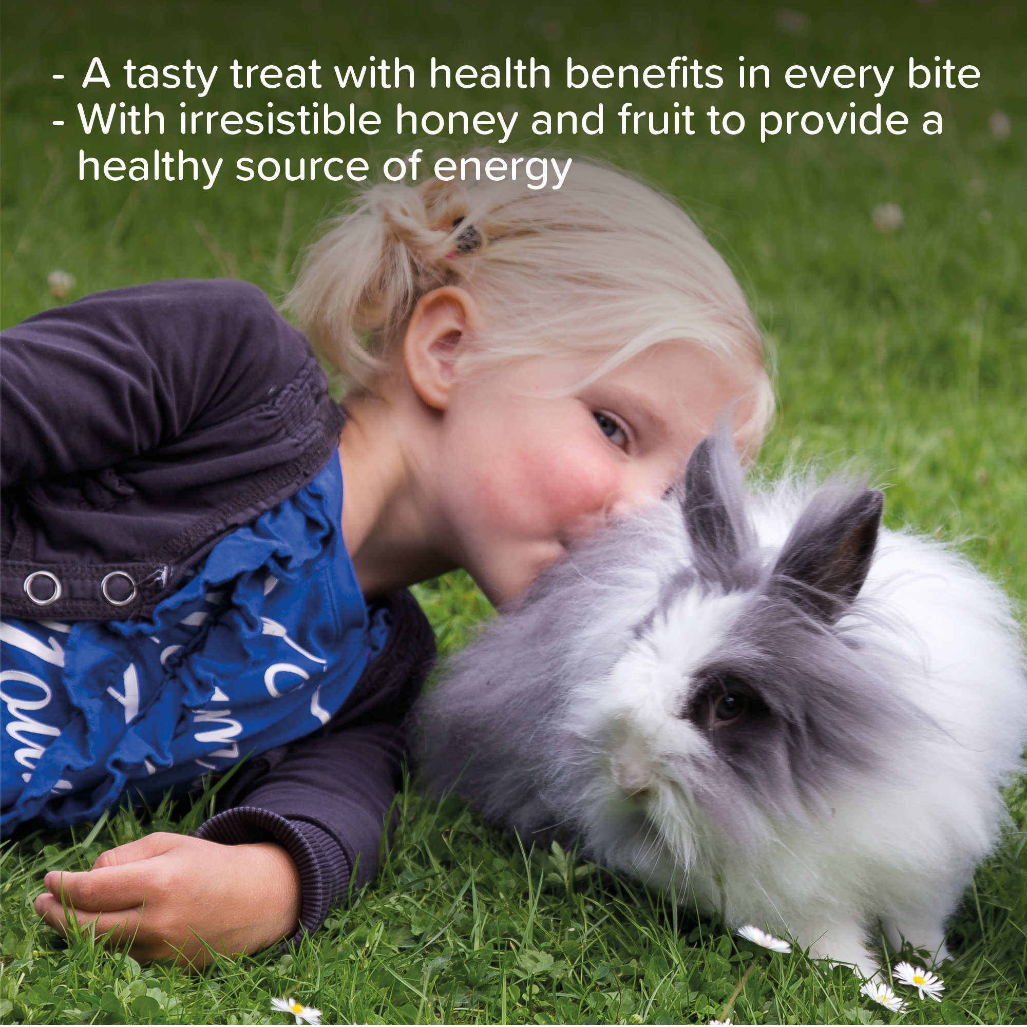 Beaphar Honey Crunch Sticks for Small Animals, 2 sticks