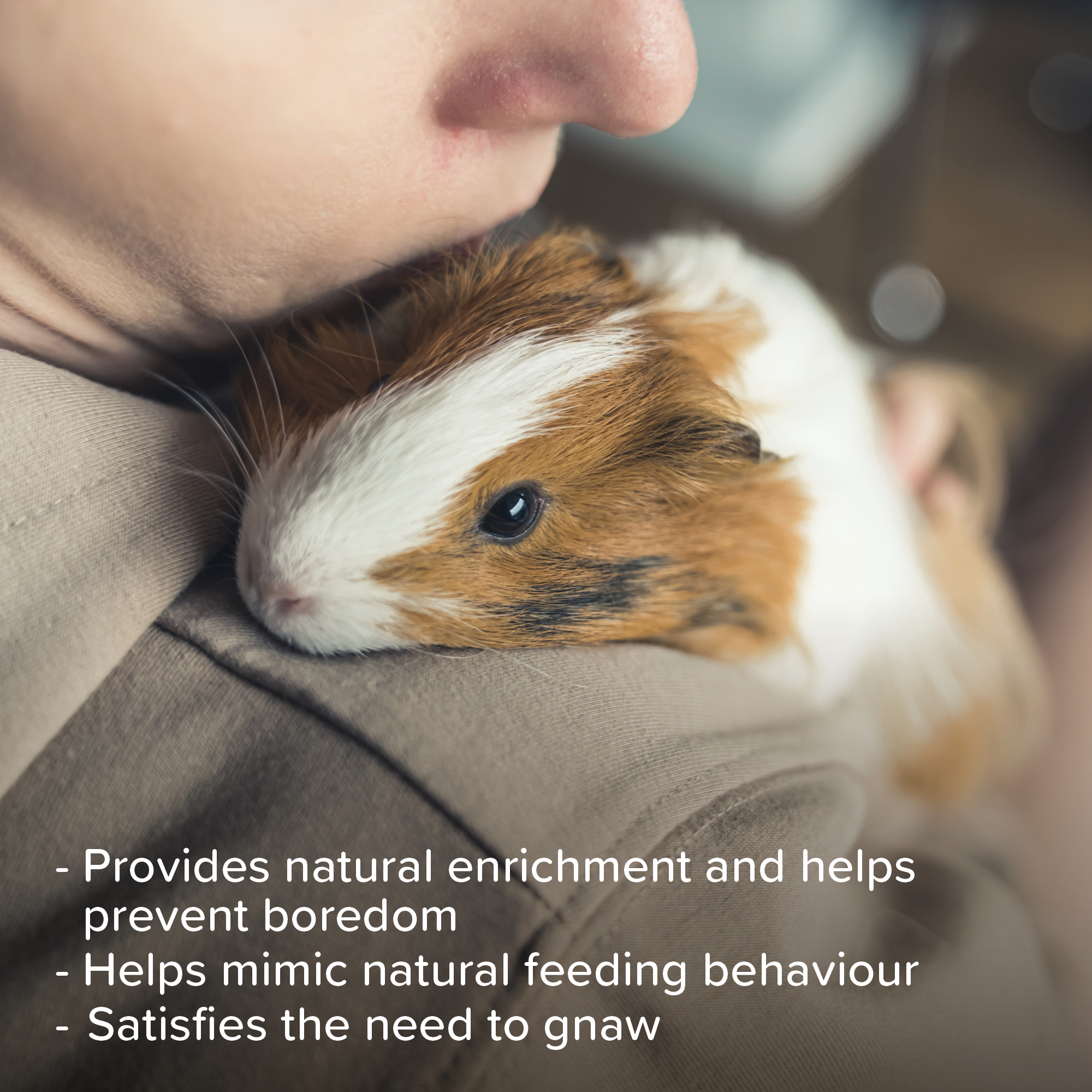 Beaphar Vegetable & Berry Crunch Sticks for Small Animals, 2 sticks