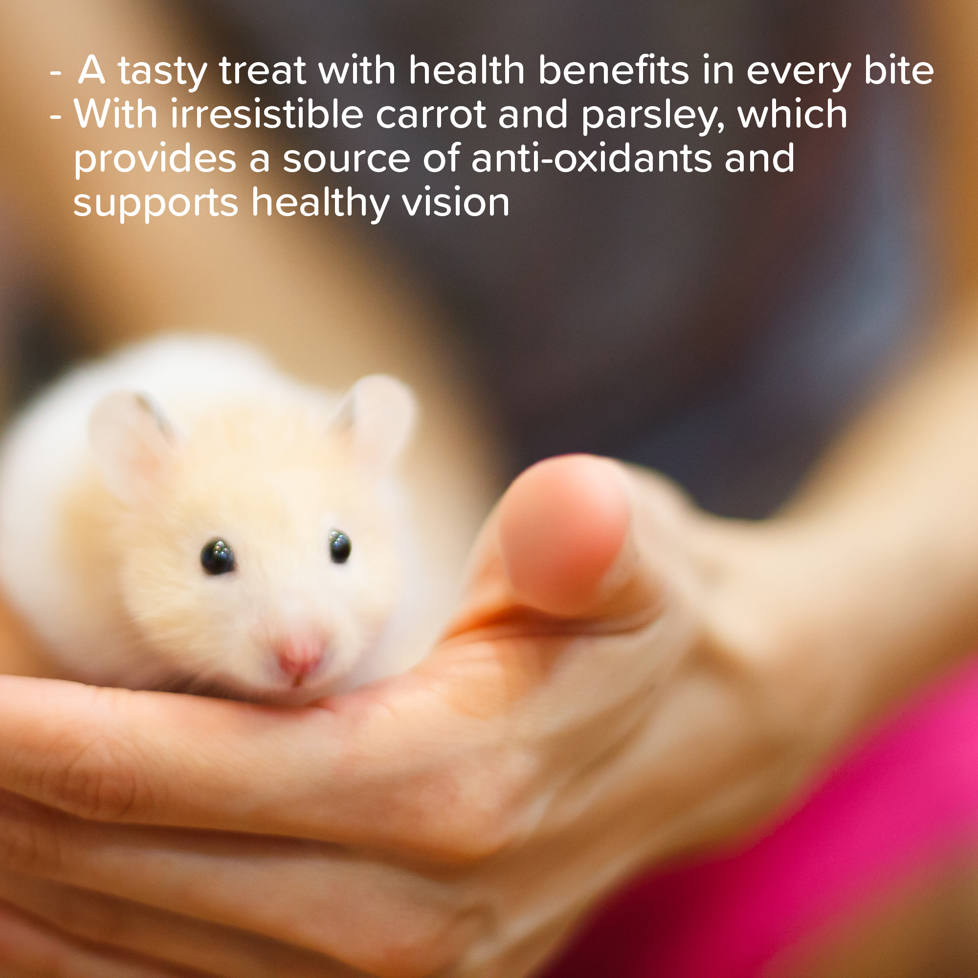 Beaphar Carrot & Parsley Crunch Sticks for Small Animals, 2 sticks