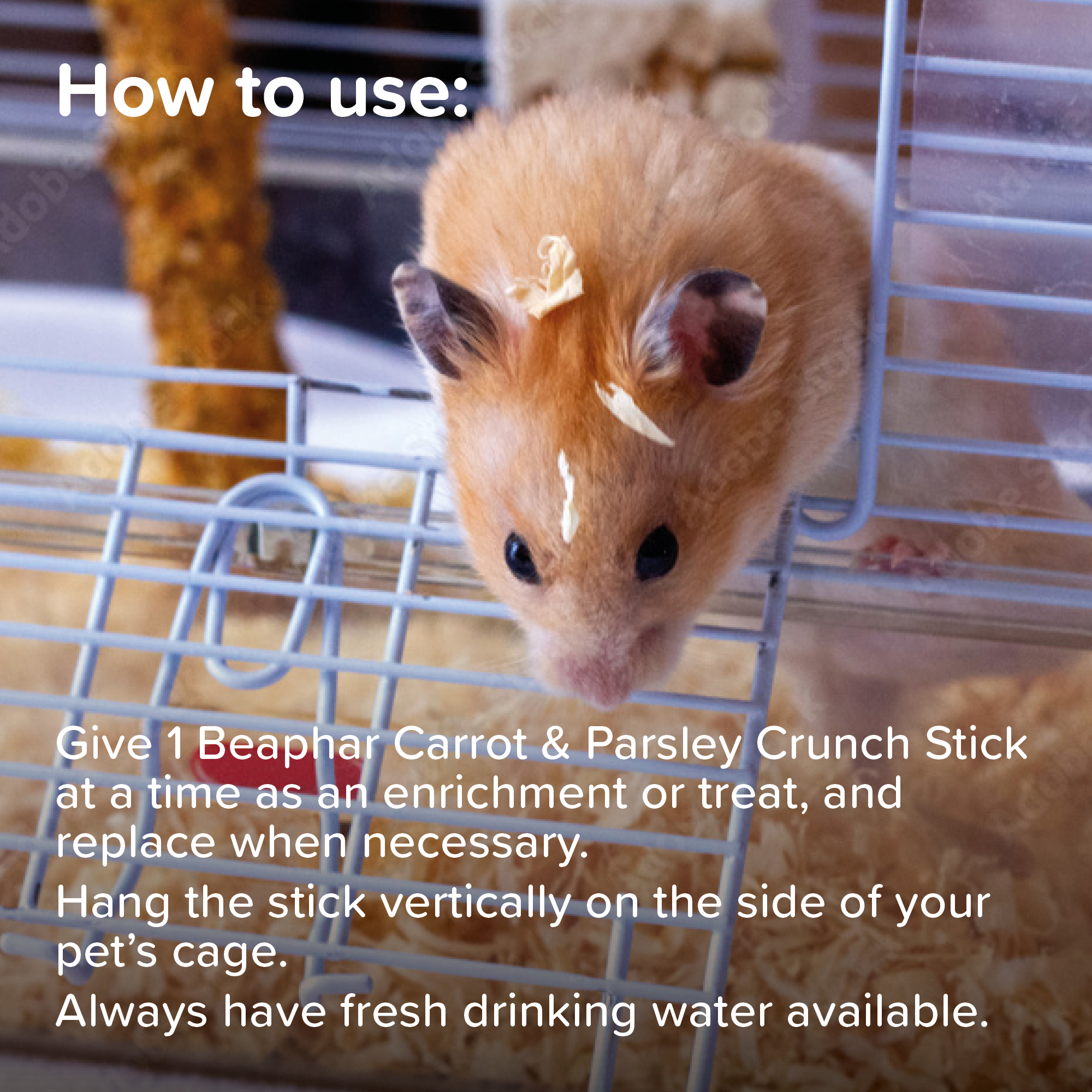 Beaphar Carrot & Parsley Crunch Sticks for Small Animals, 2 sticks