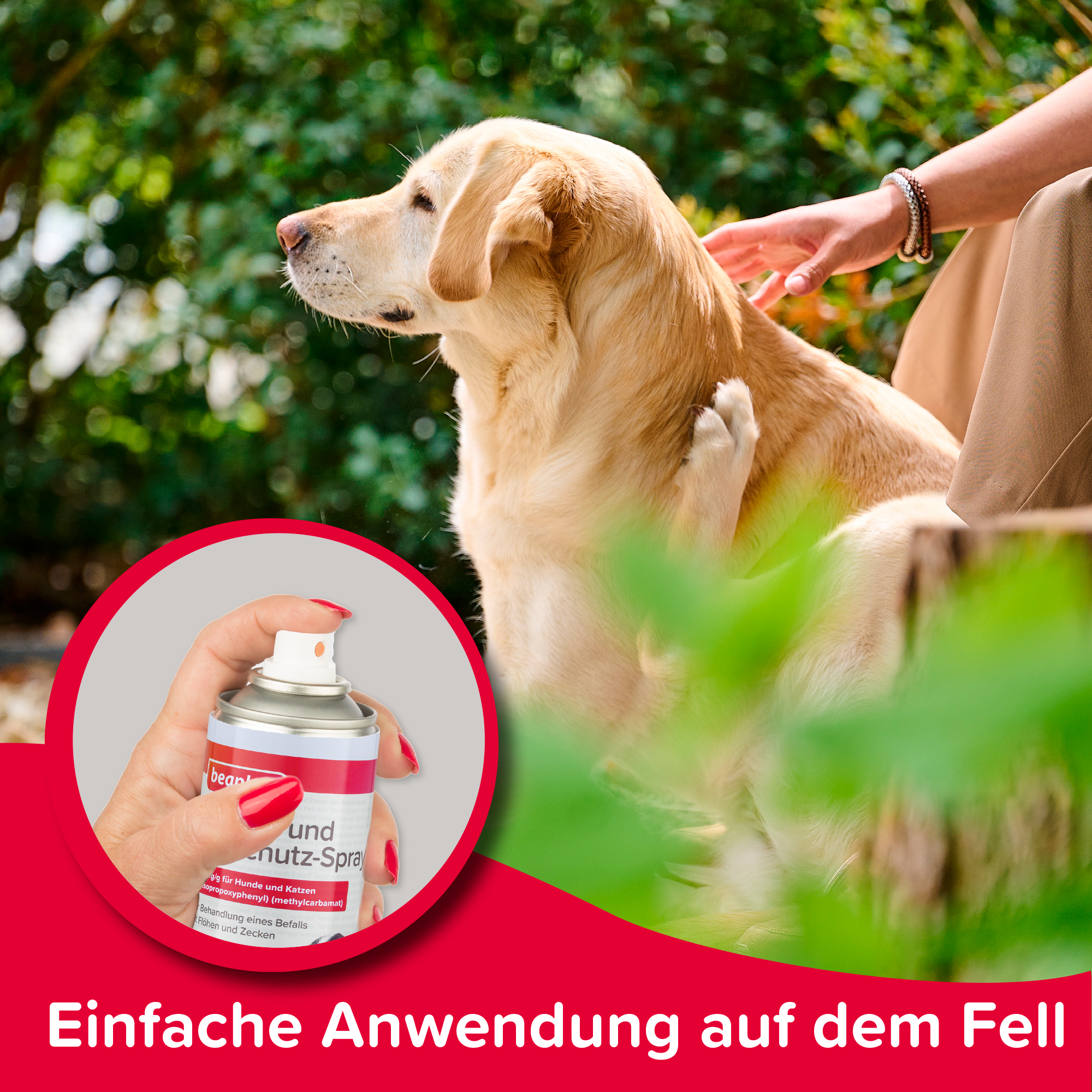 Zecken- und Flohschutz-Spray, 250ml