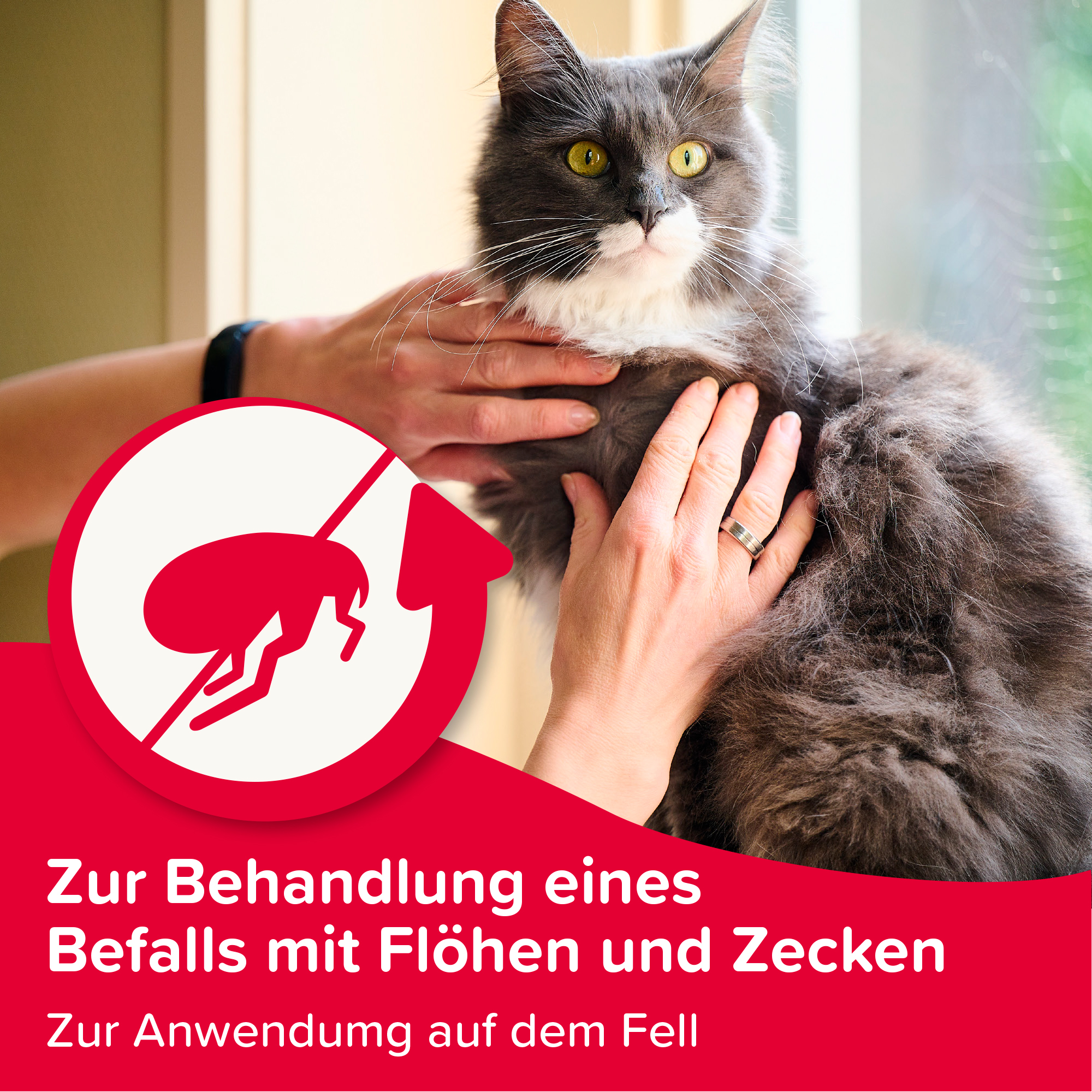 Zecken- und Flohschutz-Spray, 250ml