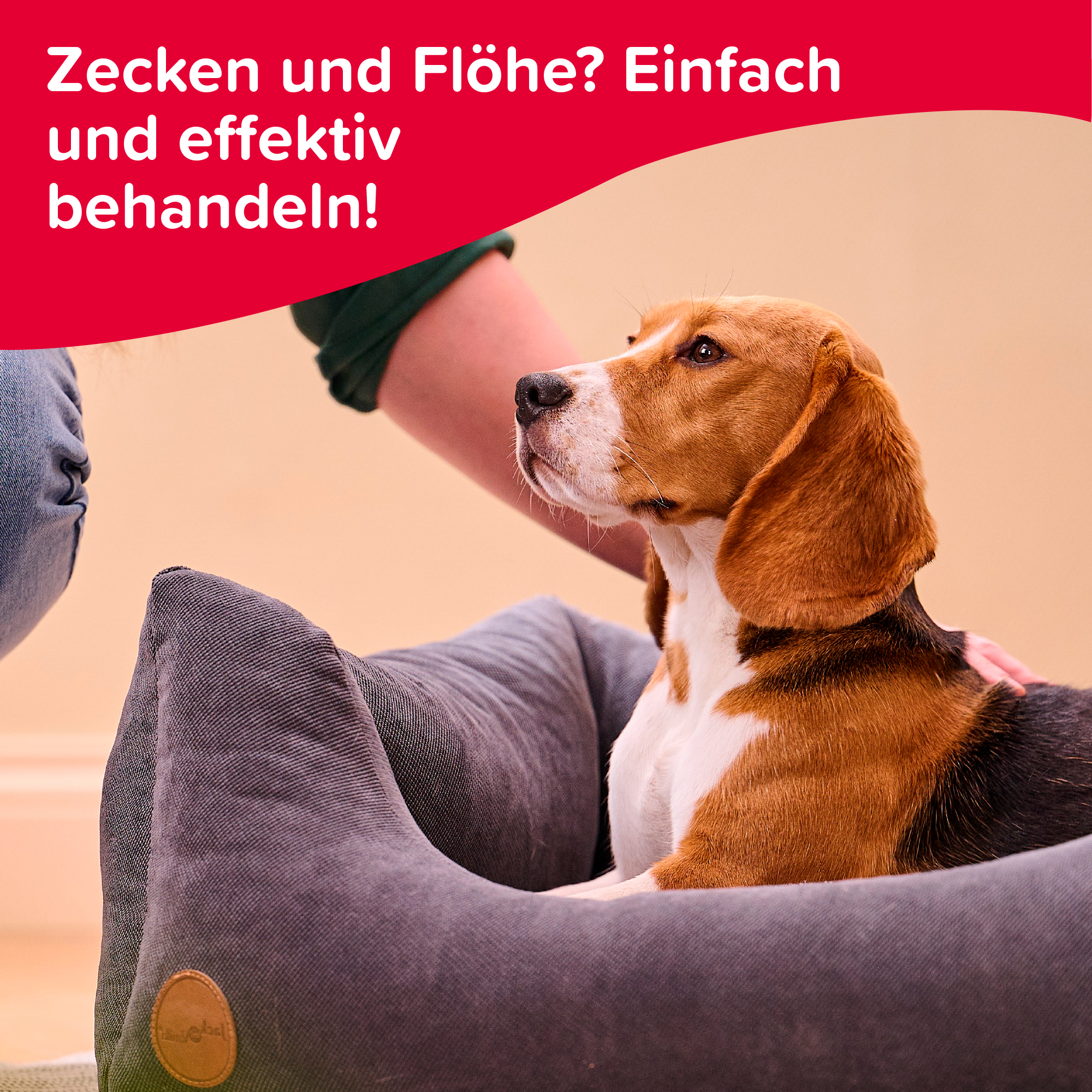 Zecken- und Flohschutz-Spray, 250ml