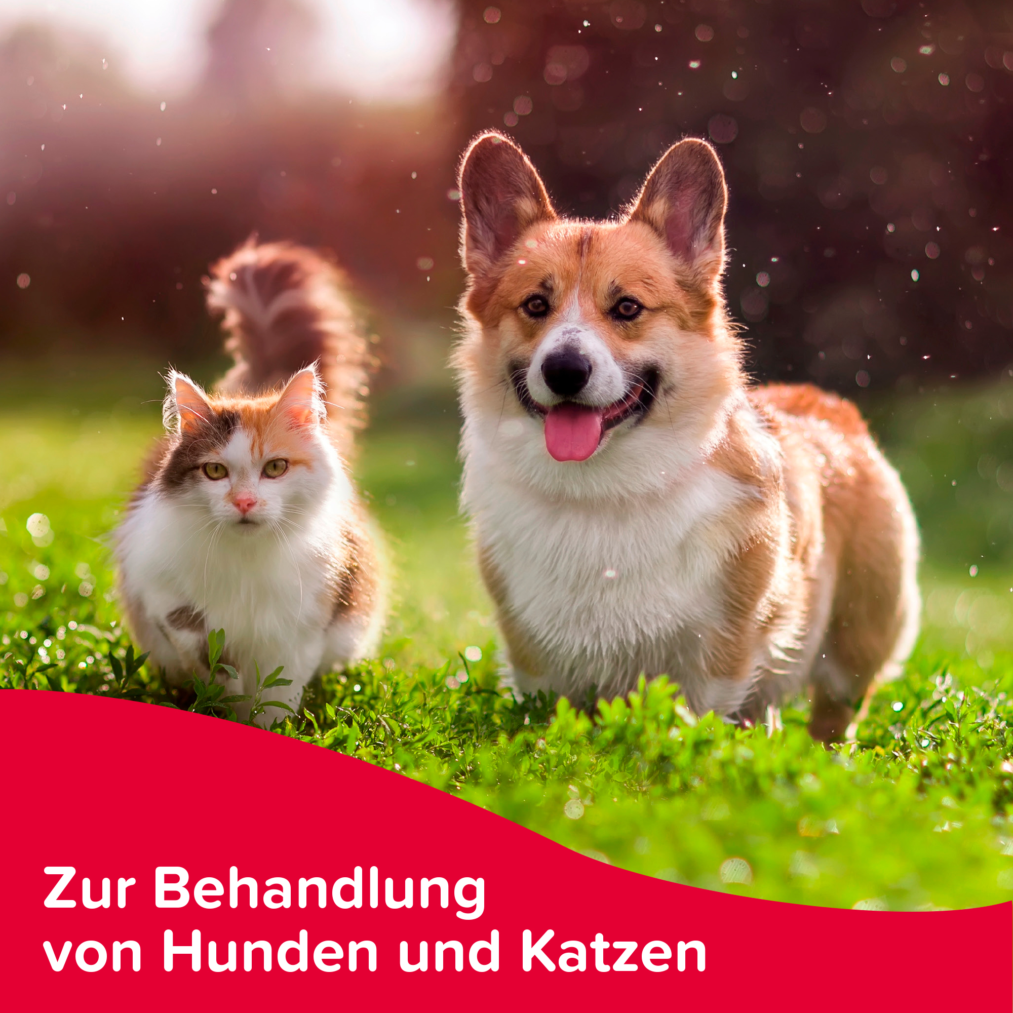 Zecken- und Flohschutz-Spray, 250ml