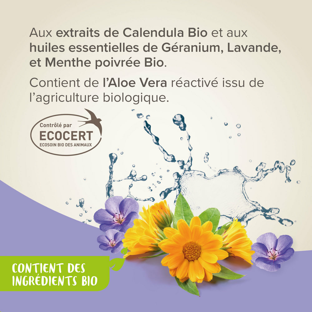 Spray anti-démangeaisons labellisé Ecocert pour chien