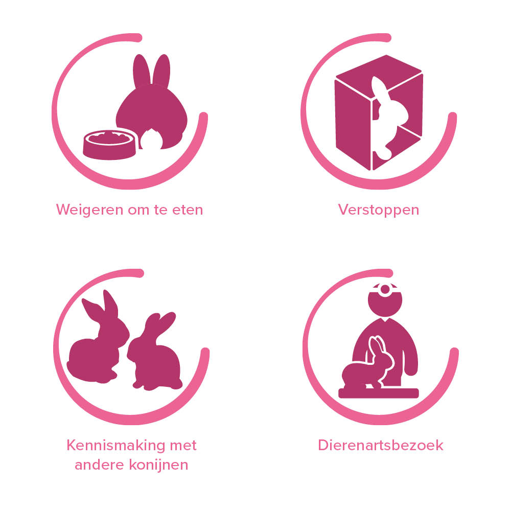 Beaphar RabbitComfort® Rustgevende Spray 30ml