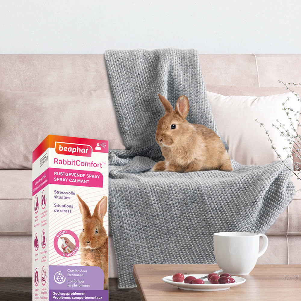 Beaphar RabbitComfort® Rustgevende Spray 30ml