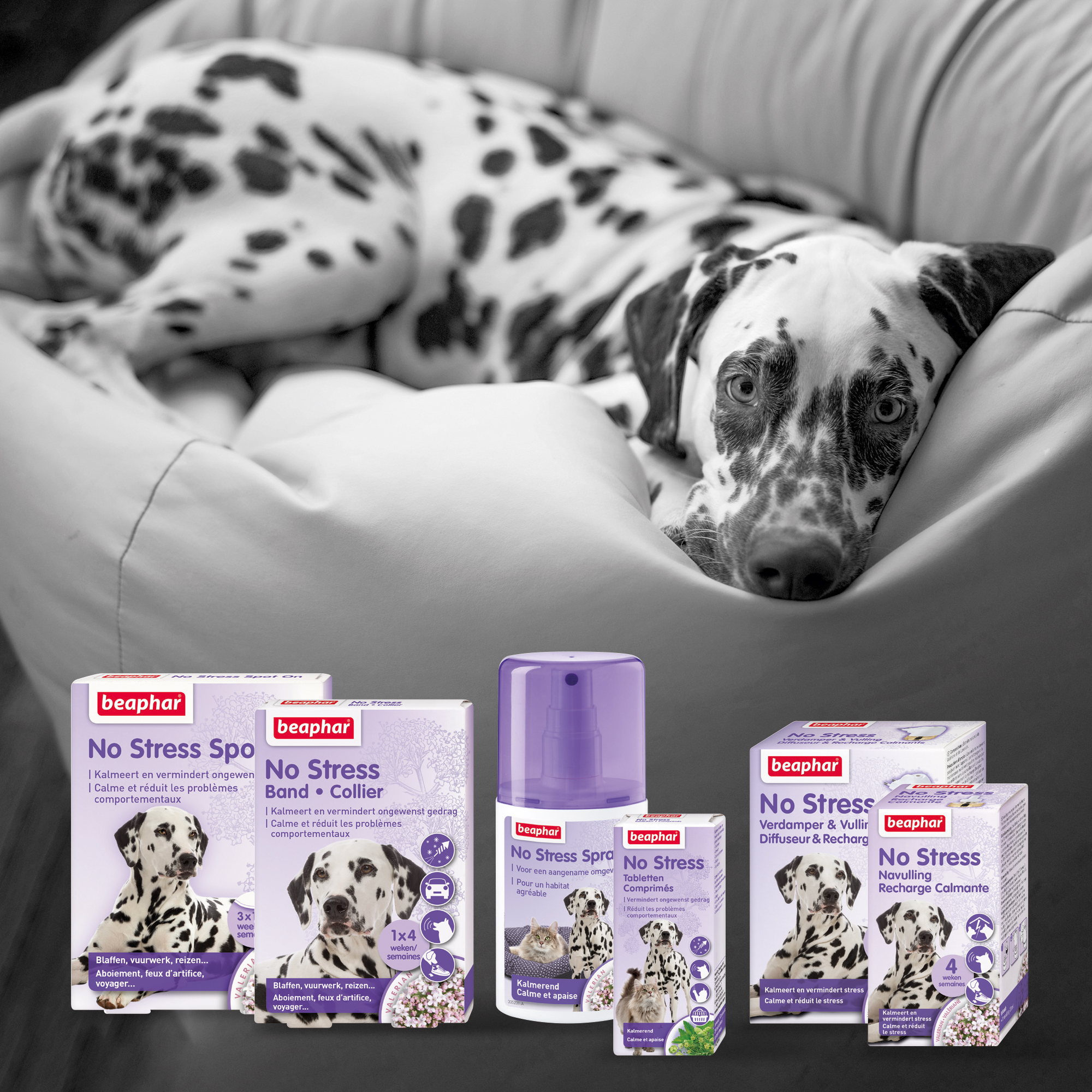 Beaphar No Stress Verdamper & Vulling hond