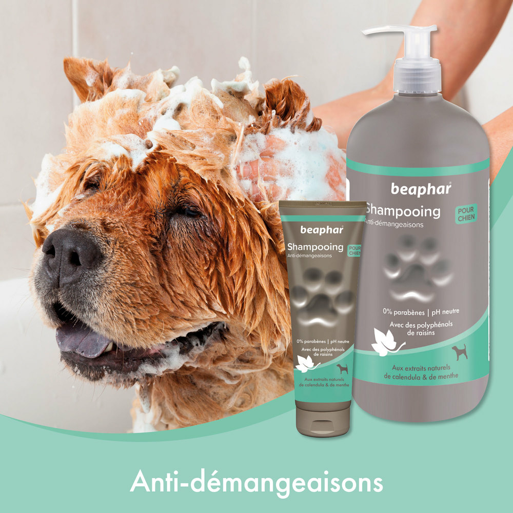 Shampooing premium Empreinte - Anti-Démangeaisons extraits naturels de calendula & de menthe - 3 L