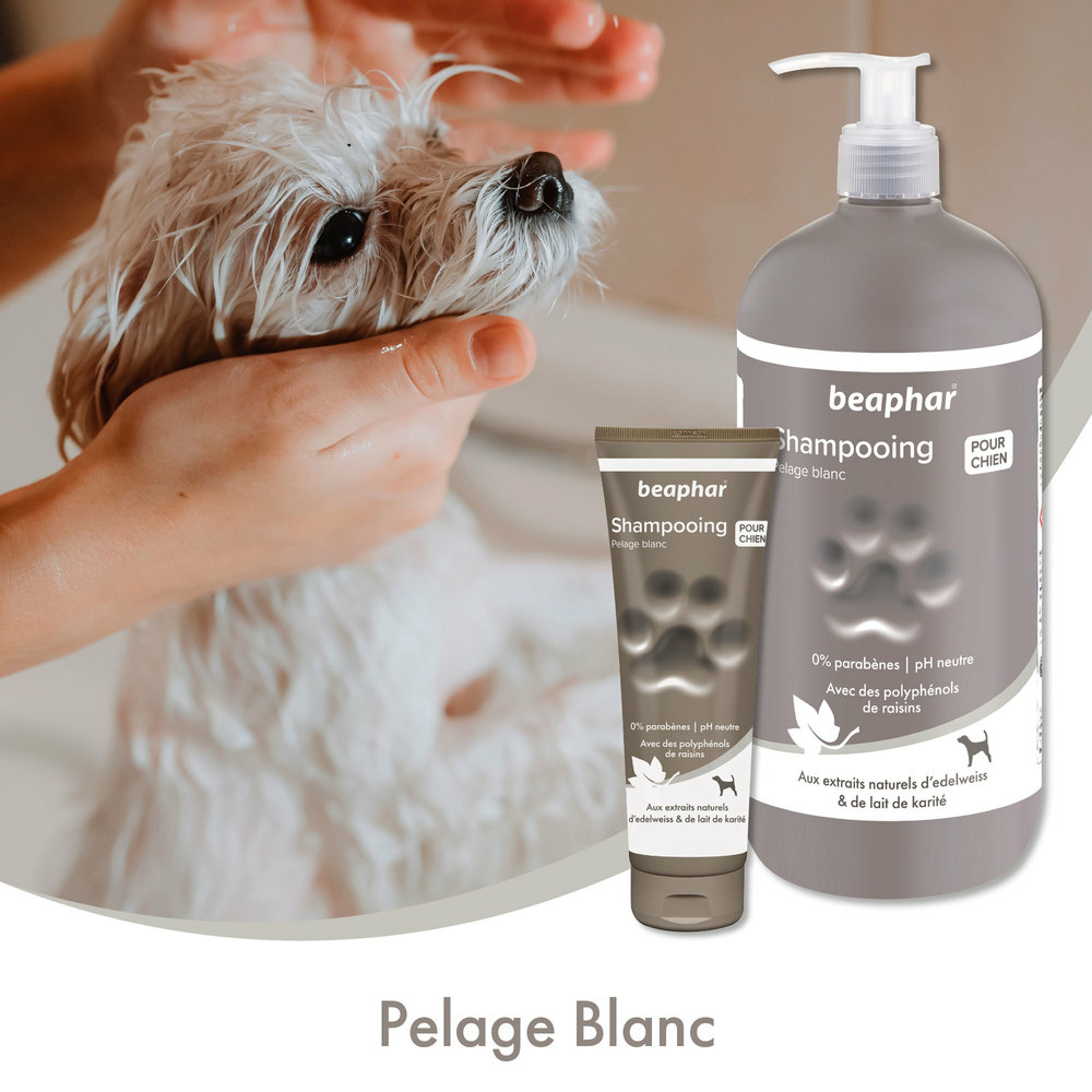 Shampooing premium Empreinte - Pour pelage blanc extraits naturels d’edelweiss & de lait de karité - 250 ml