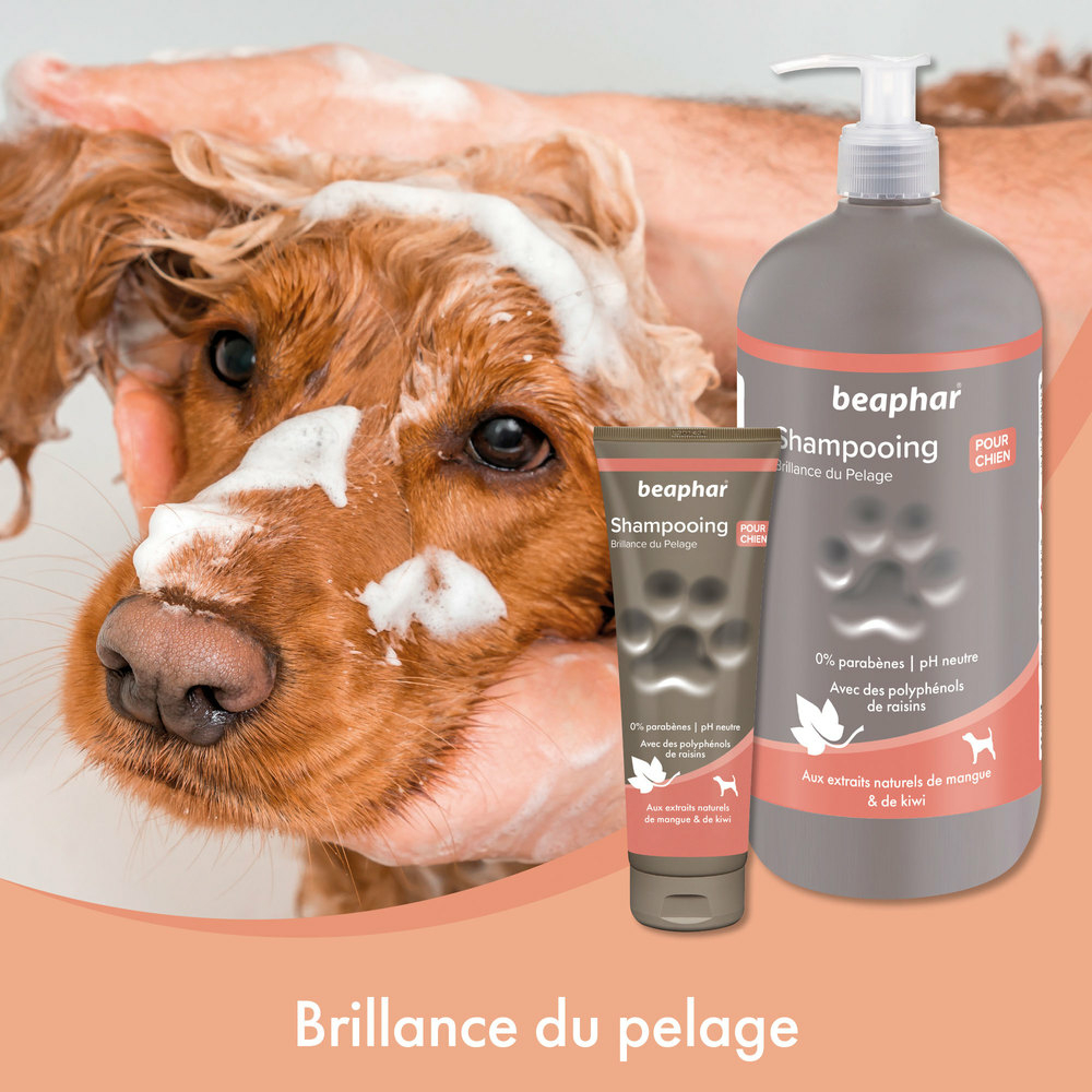 Shampooing premium Empreinte - Brillance du pelage extraits naturels de mangue & de kiwi - 250 ml