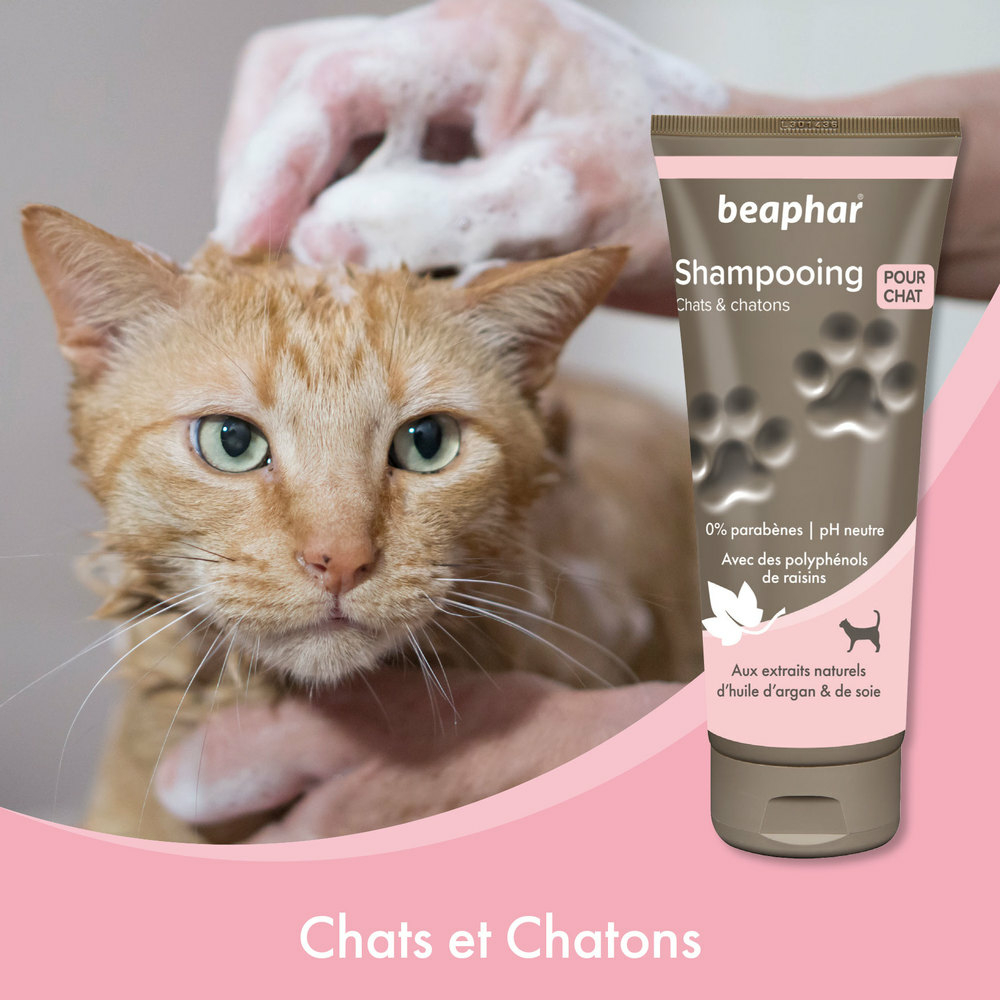 Shampooing premium Empreinte - Chat & chaton extraits naturels d'huile d'argan et de soie - 200 ml