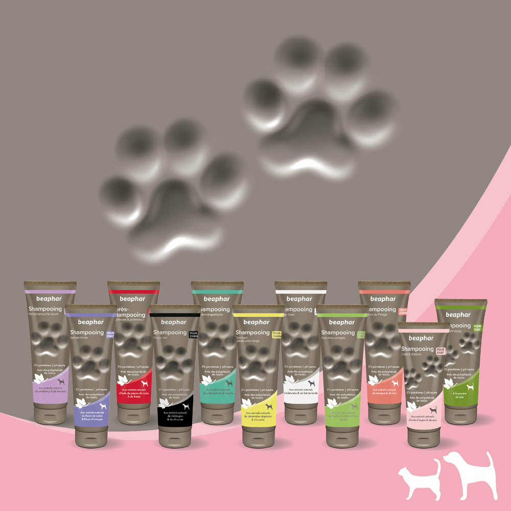 Shampooing premium Empreinte - Chat & chaton extraits naturels d'huile d'argan et de soie - 200 ml