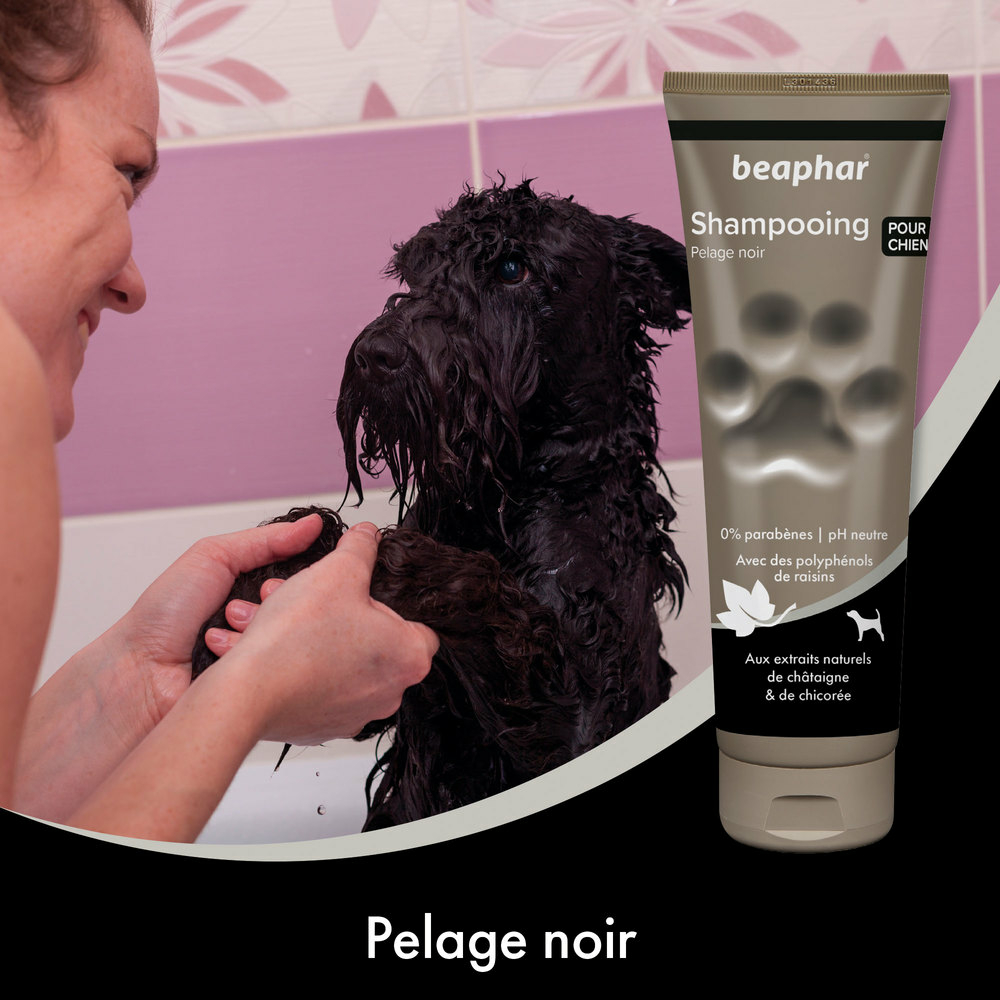 Shampooing premium Empreinte - Pour pelage noir extraits naturels de châtaigne & de chicorée - 250 ml