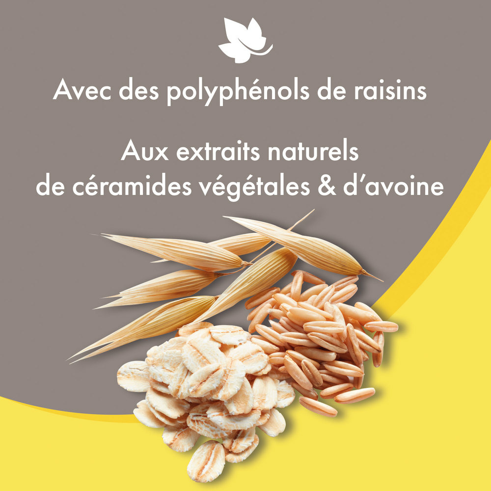Shampooing premium Empreinte - Démêlant poils longs extraits naturels de céramides végétales & d’avoine - 3 L