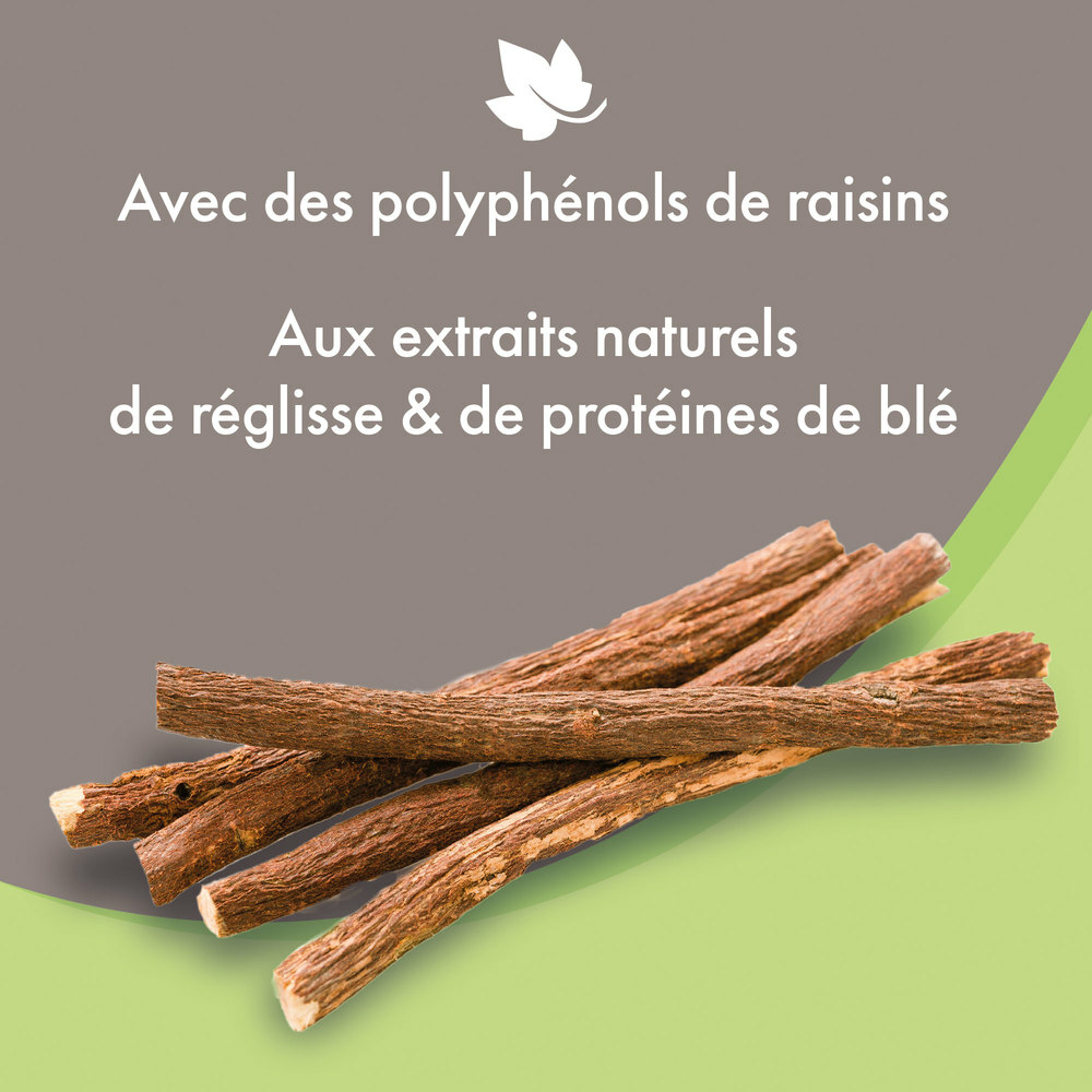 Shampooing premium Empreinte - Doux tous pelages extraits naturels de réglisse & de protéines de blé - 250 ml