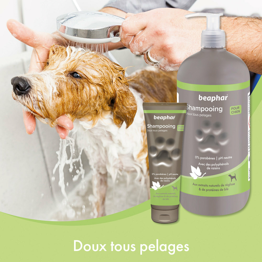 Shampooing premium Empreinte - Doux tous pelages extraits naturels de réglisse & de protéines de blé - 250 ml