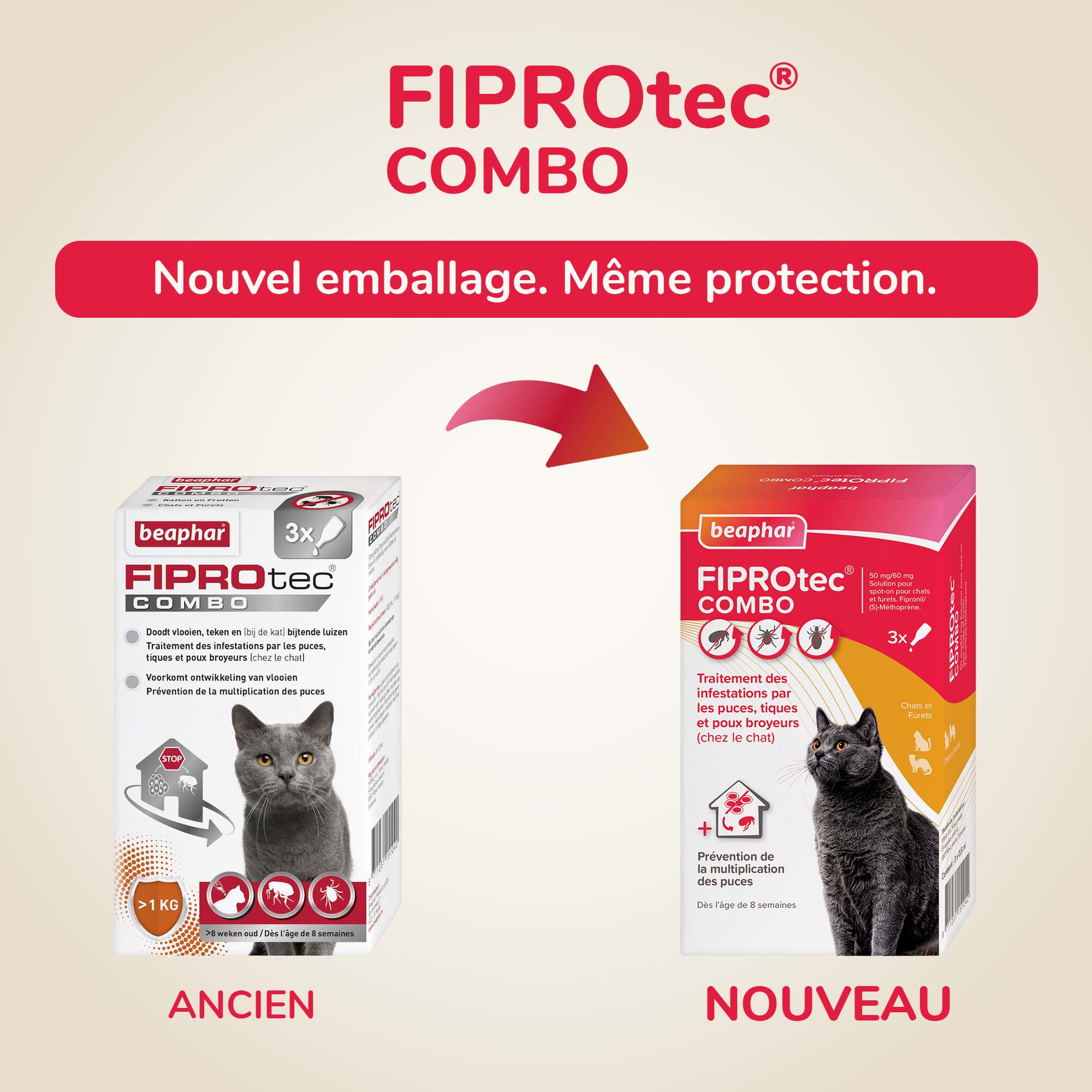 FIPROtec COMBO 50 mg / 60 mg, Solution pour spot-on pour chats et furets