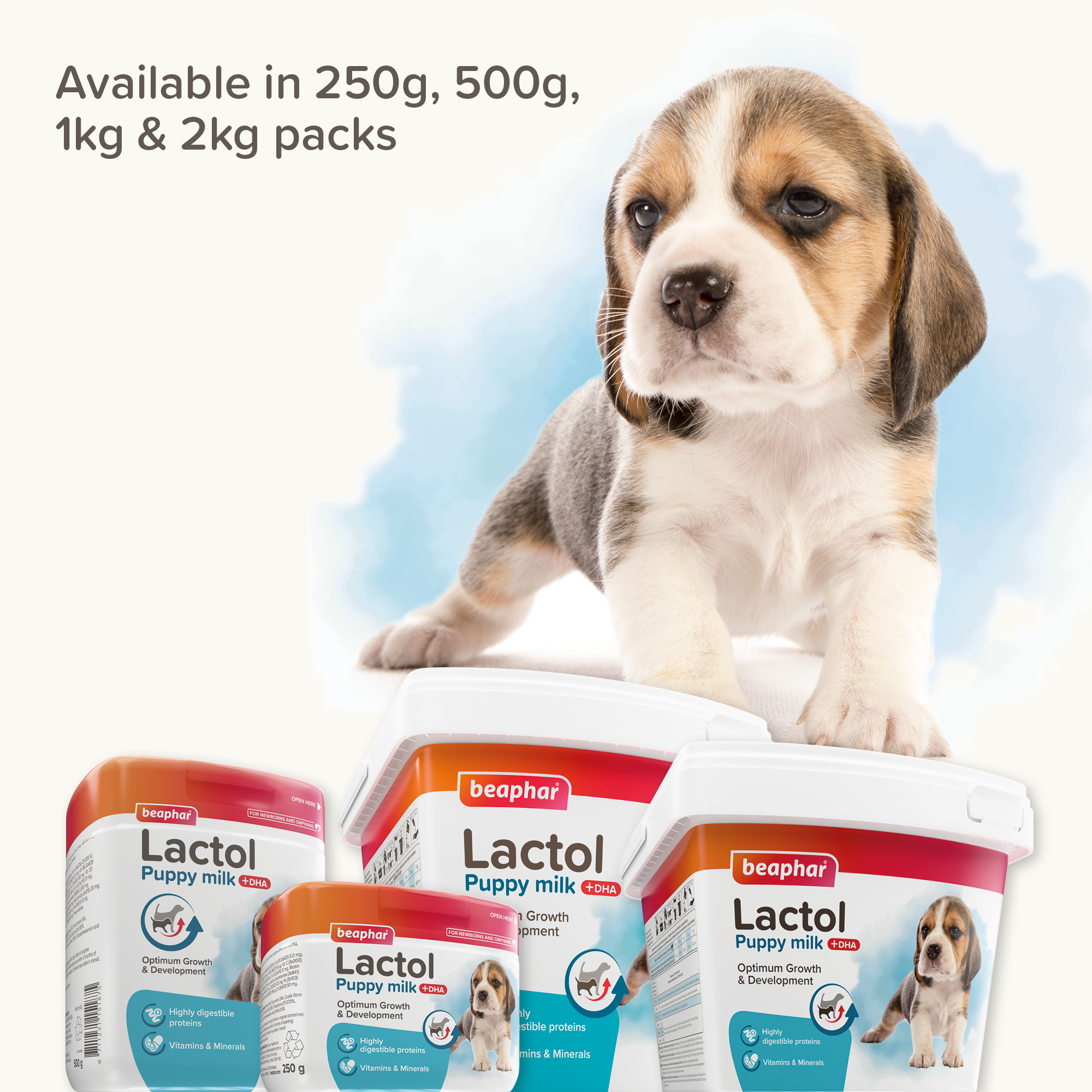 Beaphar Lactol Milk Replacer for Puppies – 250g