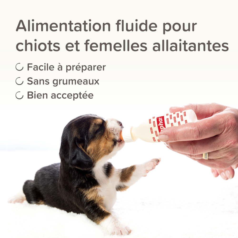 LACTOL, lait maternisé pour chiot
