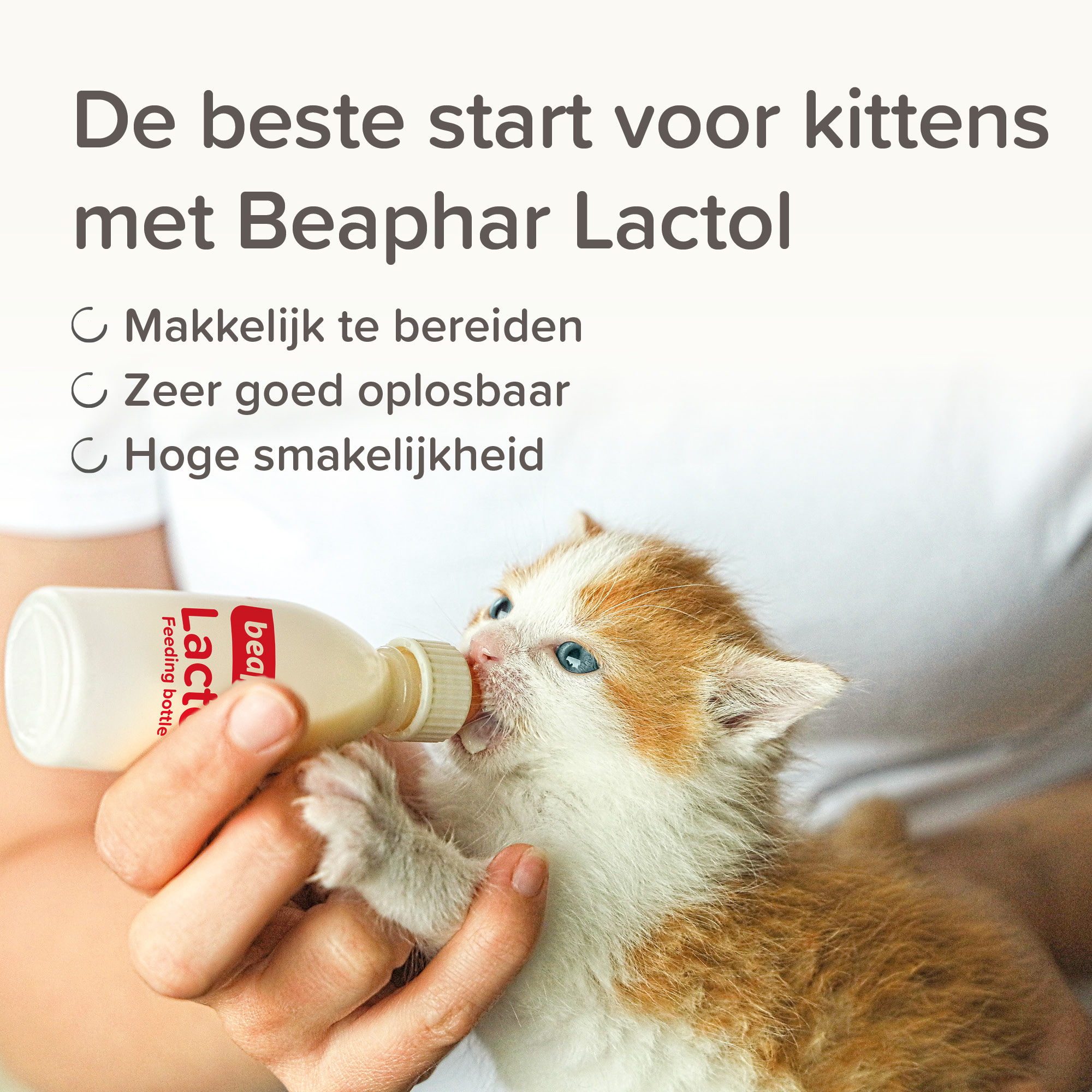 Beaphar Lactol Kitten Milk 250g