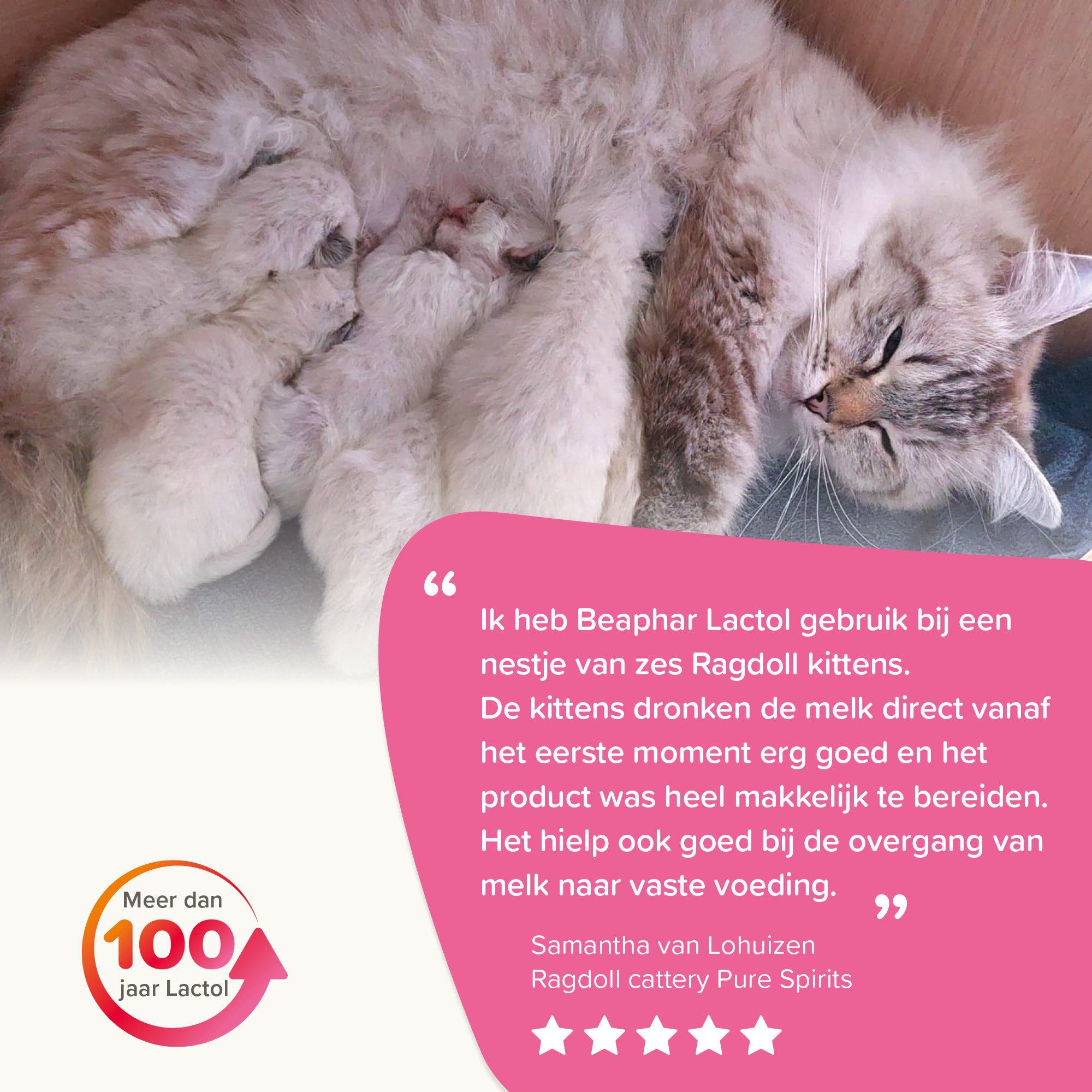 Beaphar Lactol Kitten Milk 250g