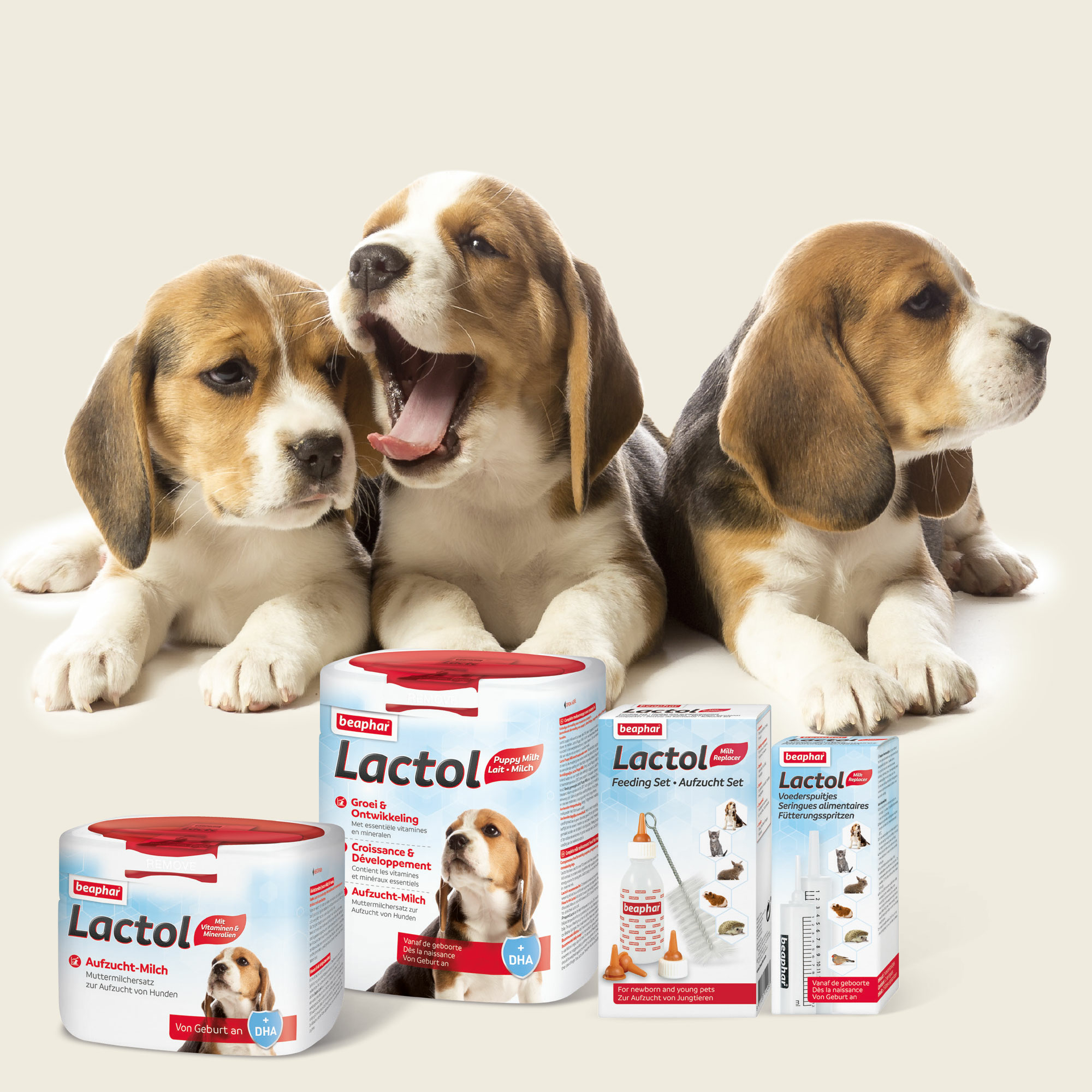 Sostituto Latte Materno Cani Latte In Polvere Beaphar Lactol Per Cuccioli - Sostituto Latte Materno Profumo In Polvere Donna - Foto 4
