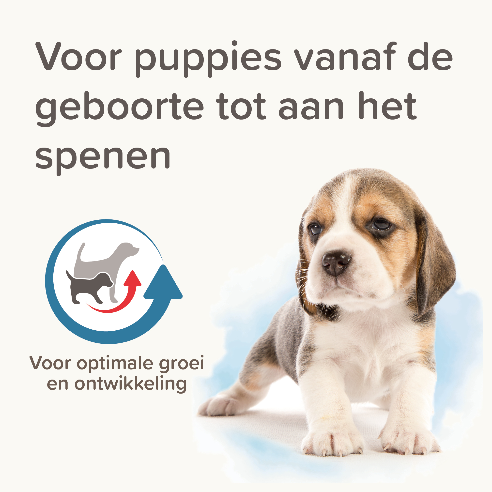 Beaphar Lactol Puppy Milk 500g