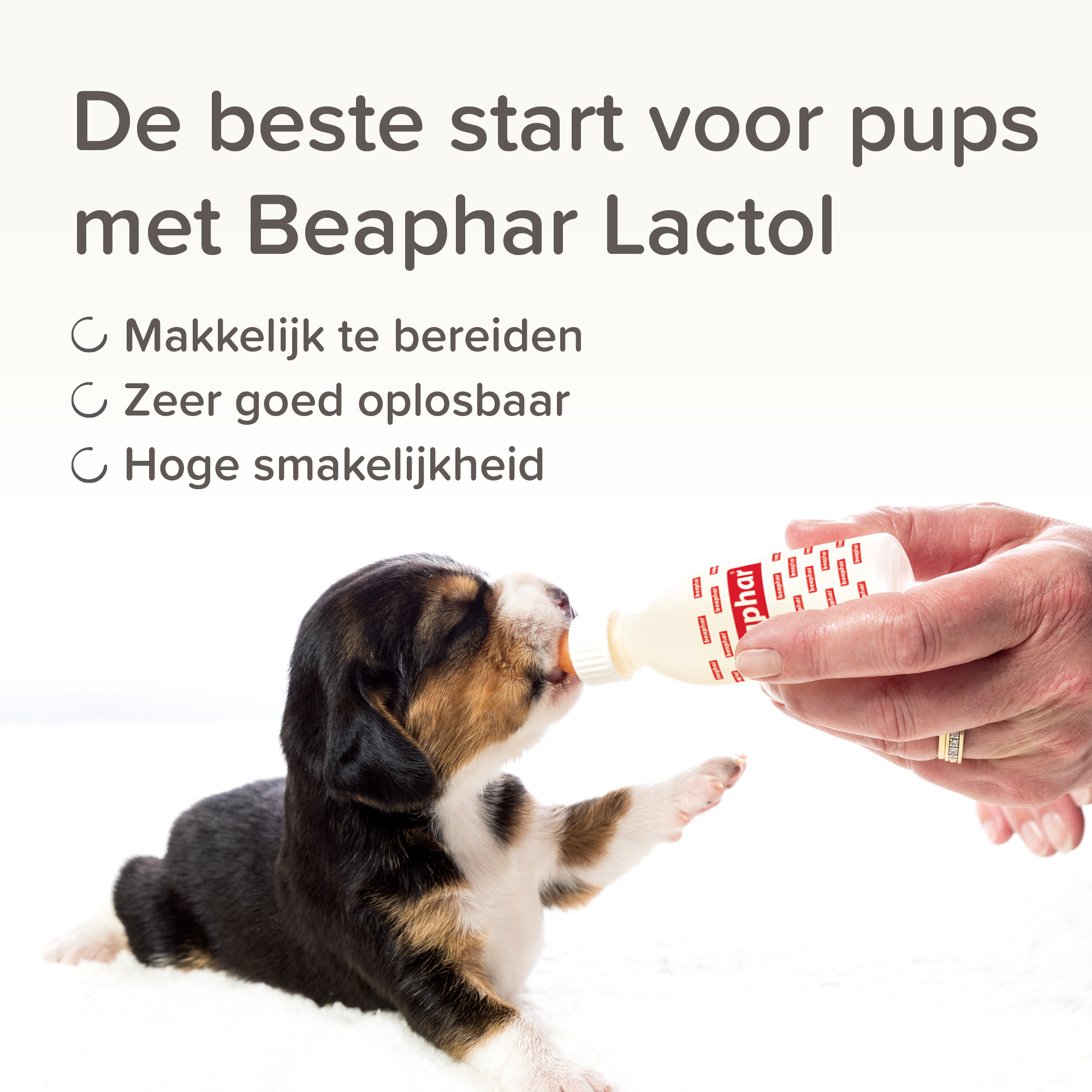 Beaphar Lactol Puppy Milk 500g