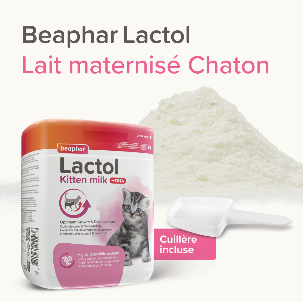 LACTOL, lait maternisé pour chaton