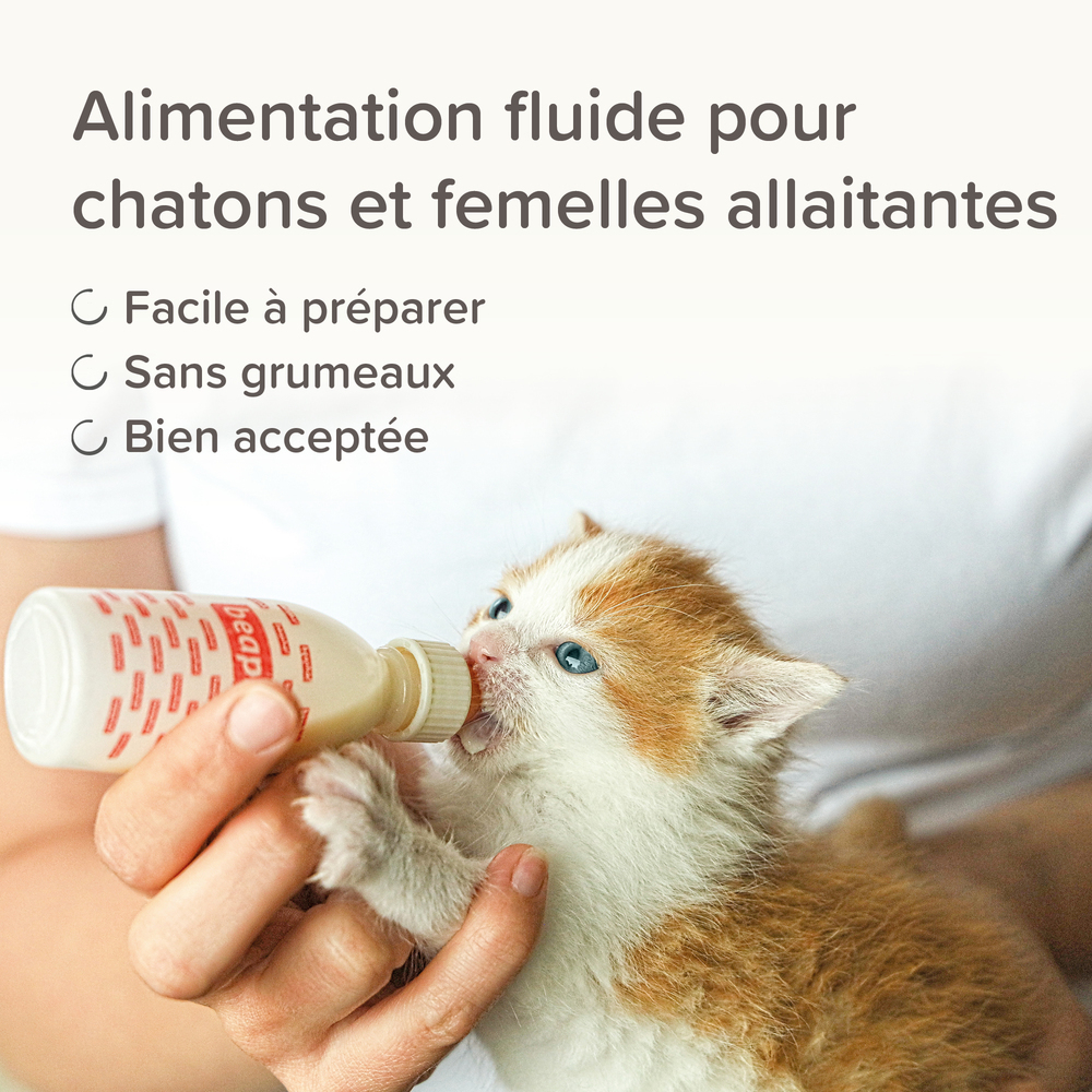 LACTOL, lait maternisé pour chaton