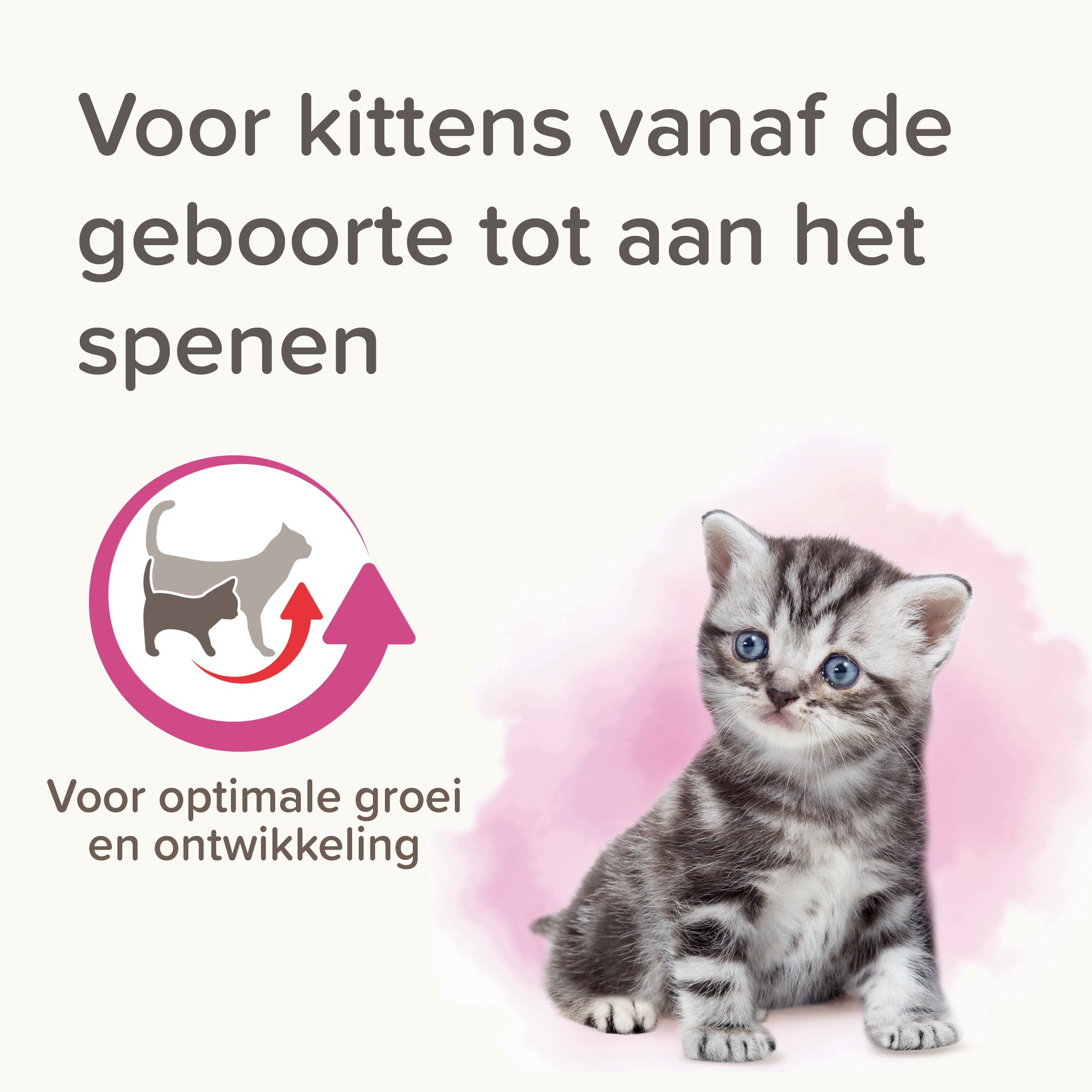 Beaphar Lactol Kitten Milk 500g