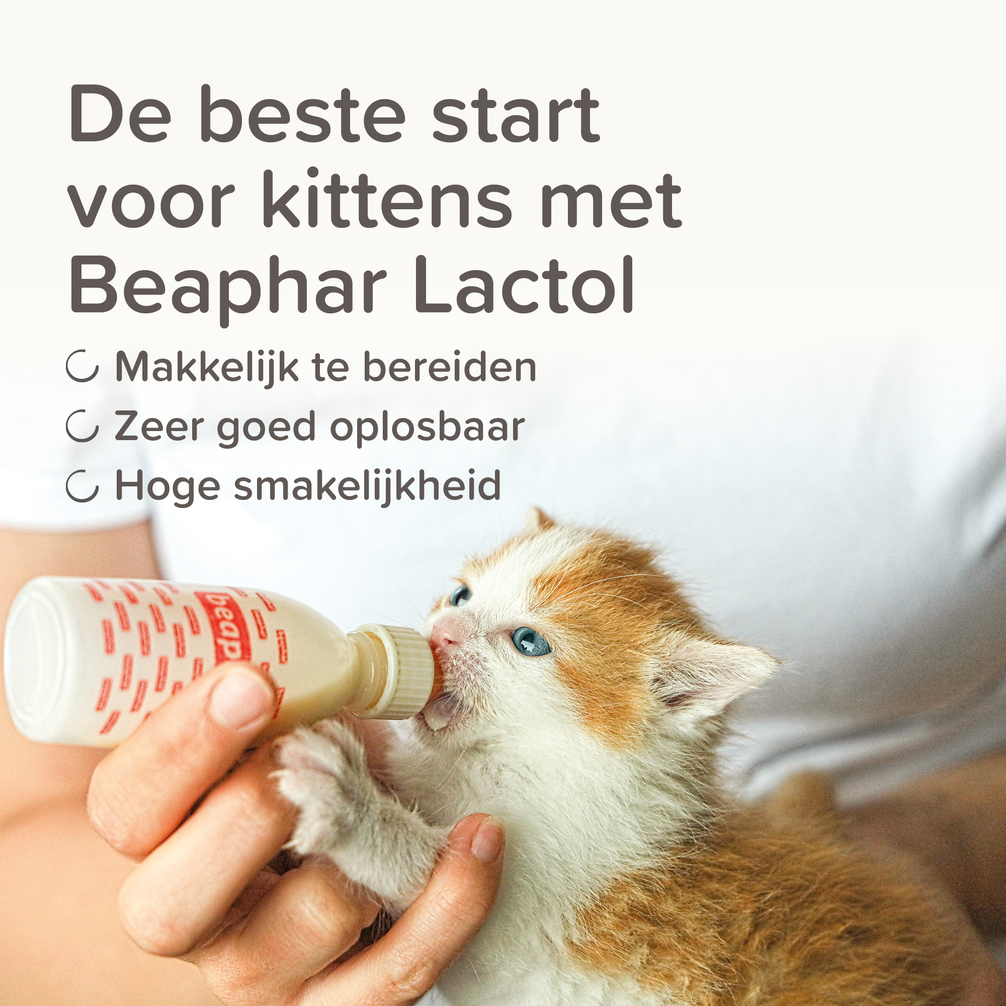 Beaphar Lactol Kitten Milk 500g