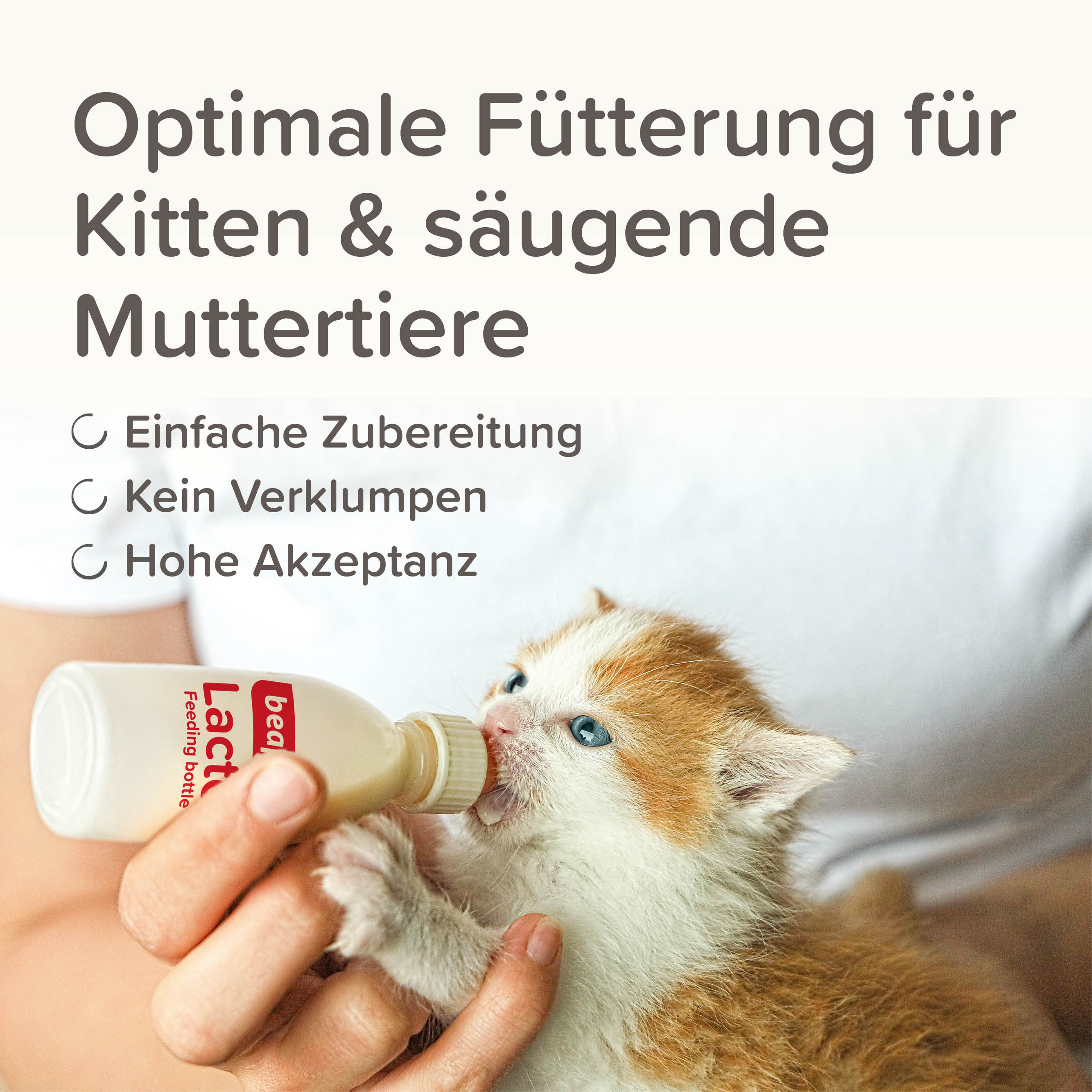 Lactol Aufzucht-Milch Katze, 250g