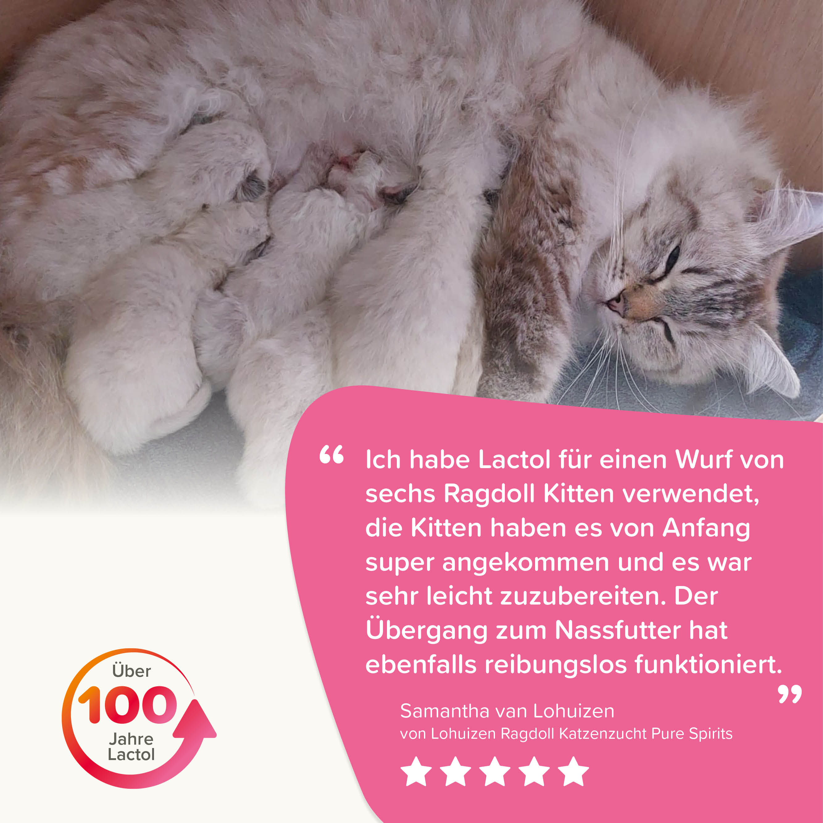 Lactol Aufzucht-Milch Katze, 250g