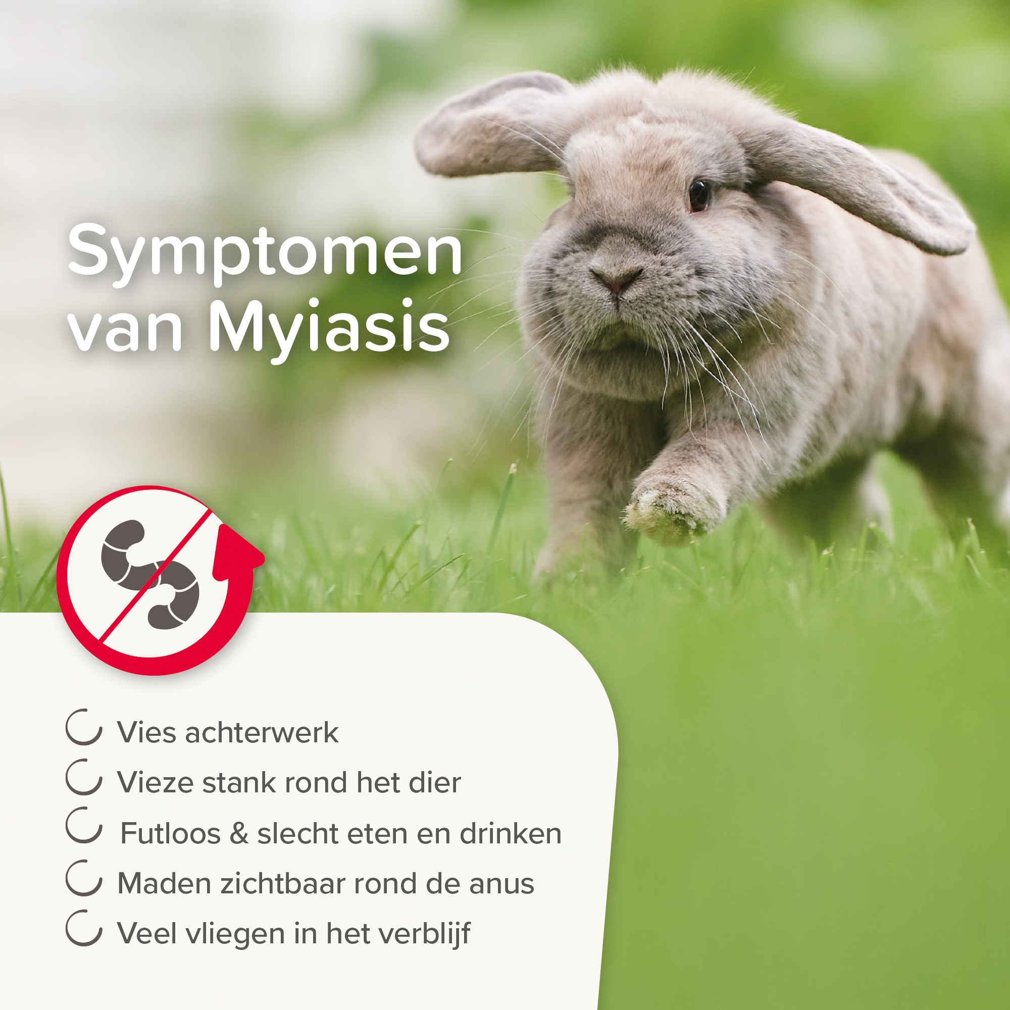 Beaphar Anti-Myiasis (madenziekte) spray 75ml