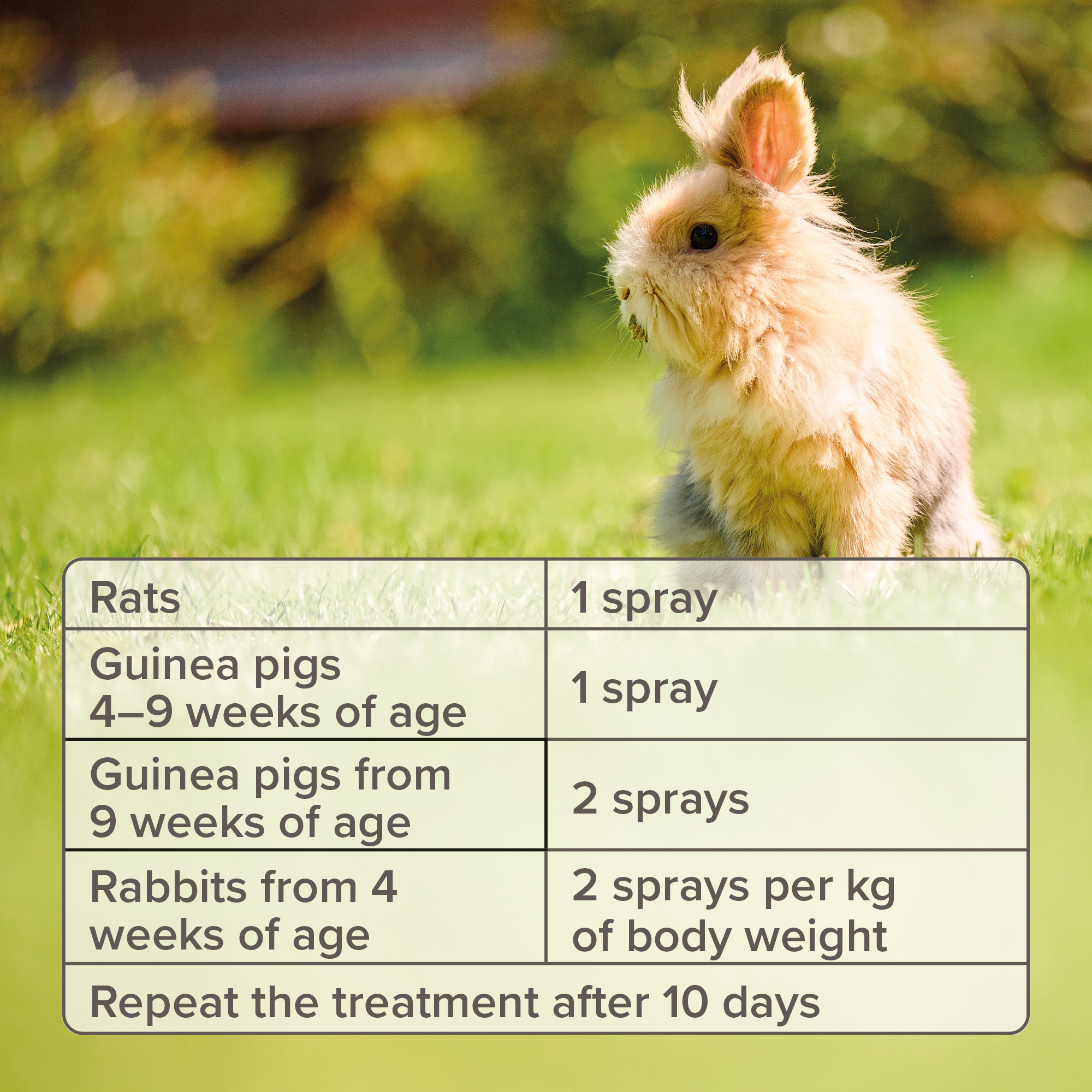 Beaphar Anti-Mange Spray for Rabbits & Guinea Pigs