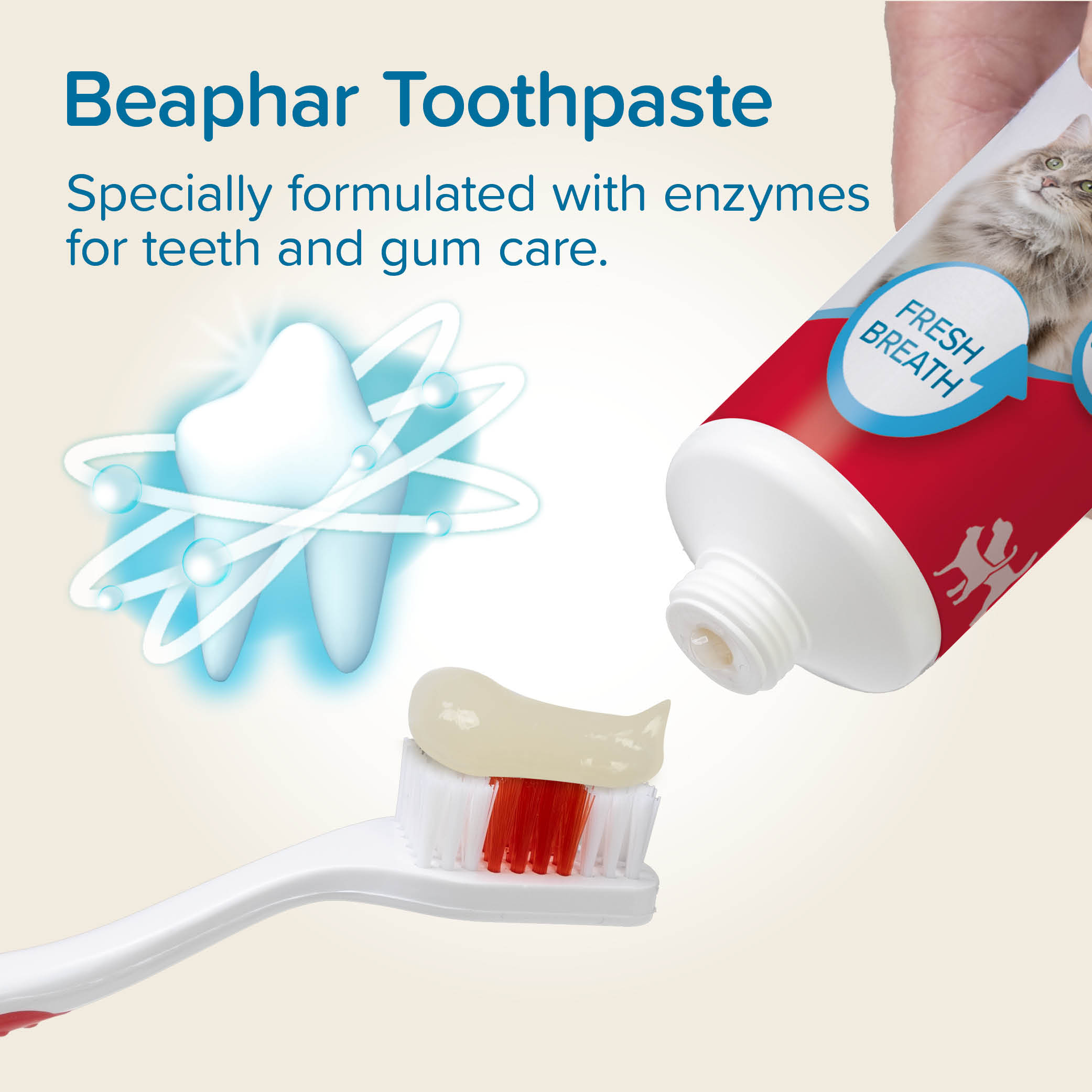 Beaphar Liver-Flavour Toothpaste with Enzymes for Cats and Dogs, 100g