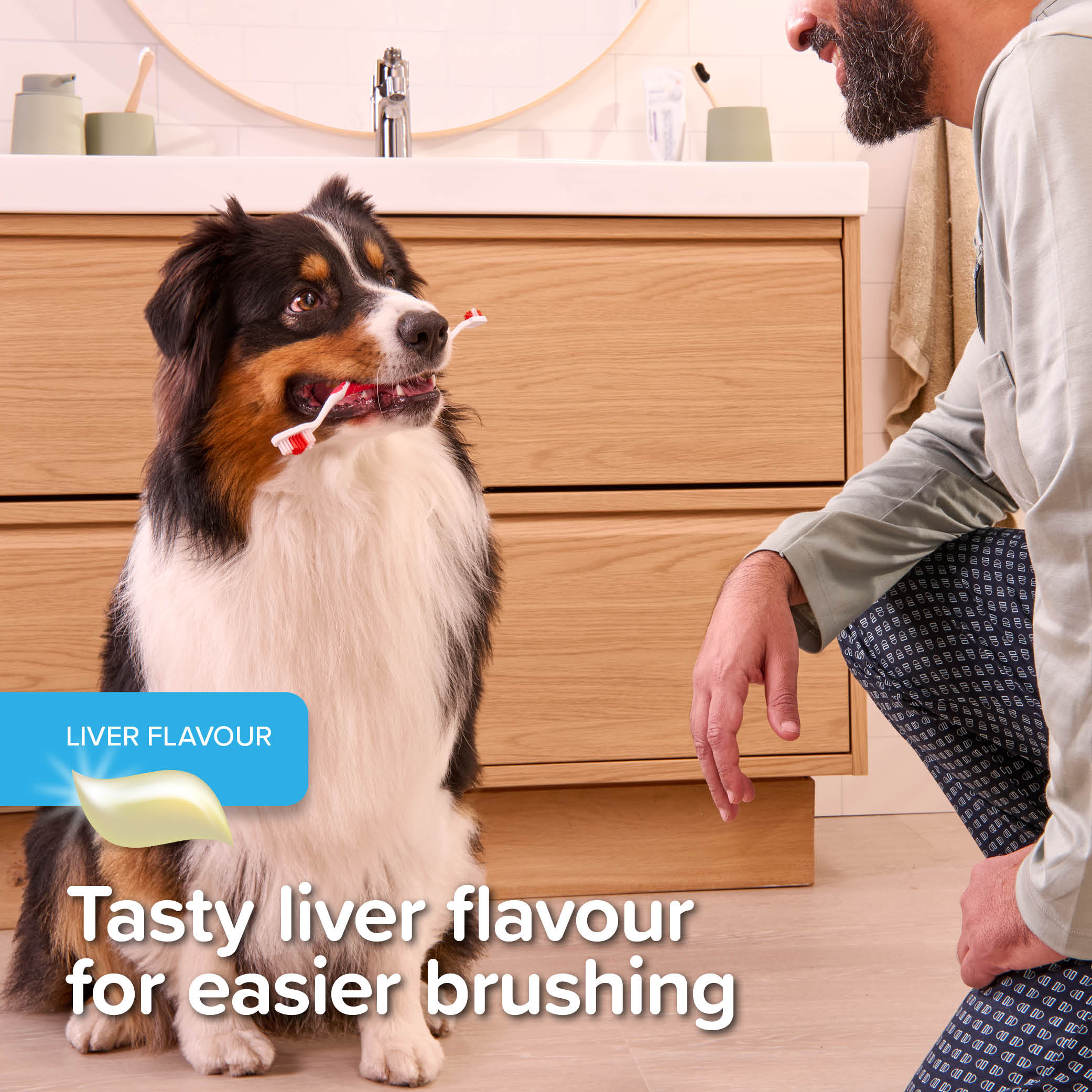 Beaphar Liver-Flavour Toothpaste with Enzymes for Cats and Dogs, 100g