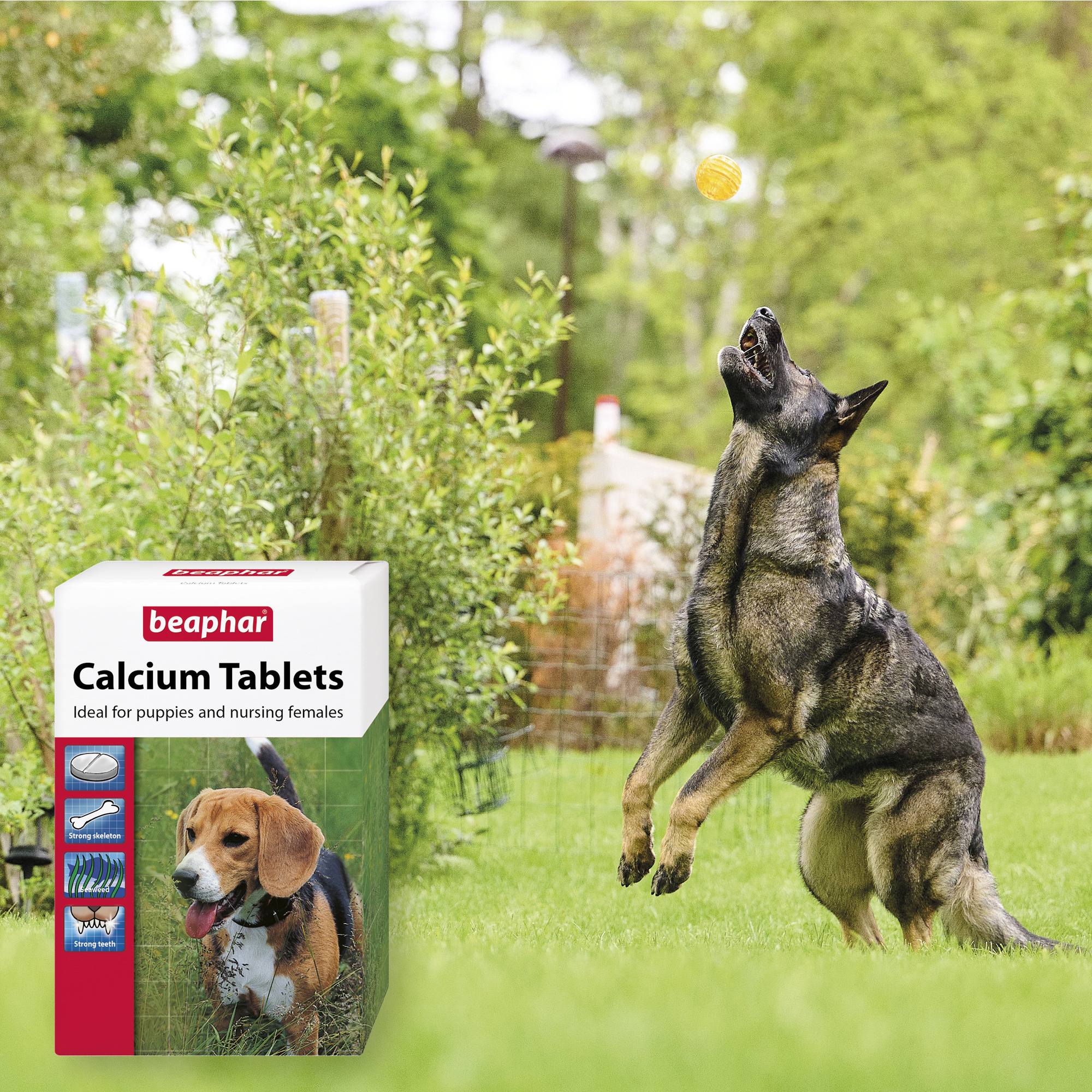 Beaphar Calcium Tablets for Nursing Dogs & Puppies, 180 tablets