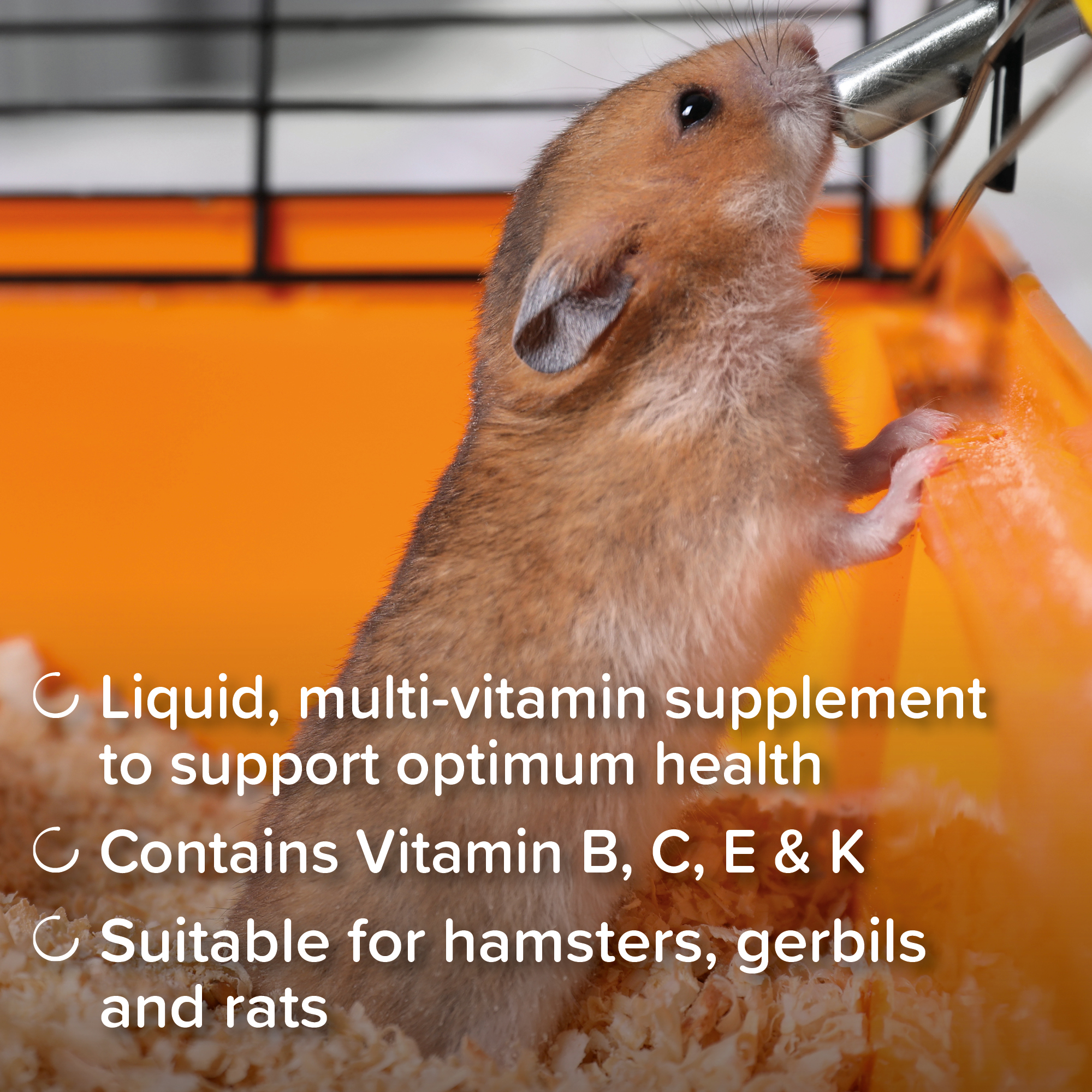 Beaphar Multi-Vitamin Supplement for Hamsters, Gerbils and Rats, 75ml