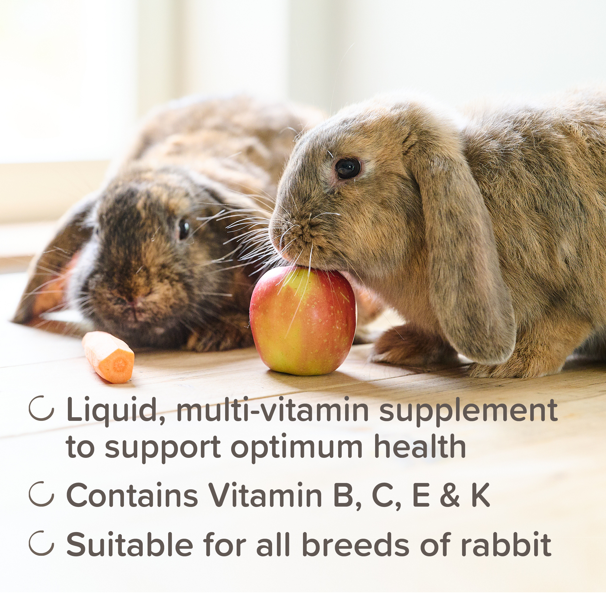 Beaphar Multi-Vitamin Supplement for Rabbits, 100ml