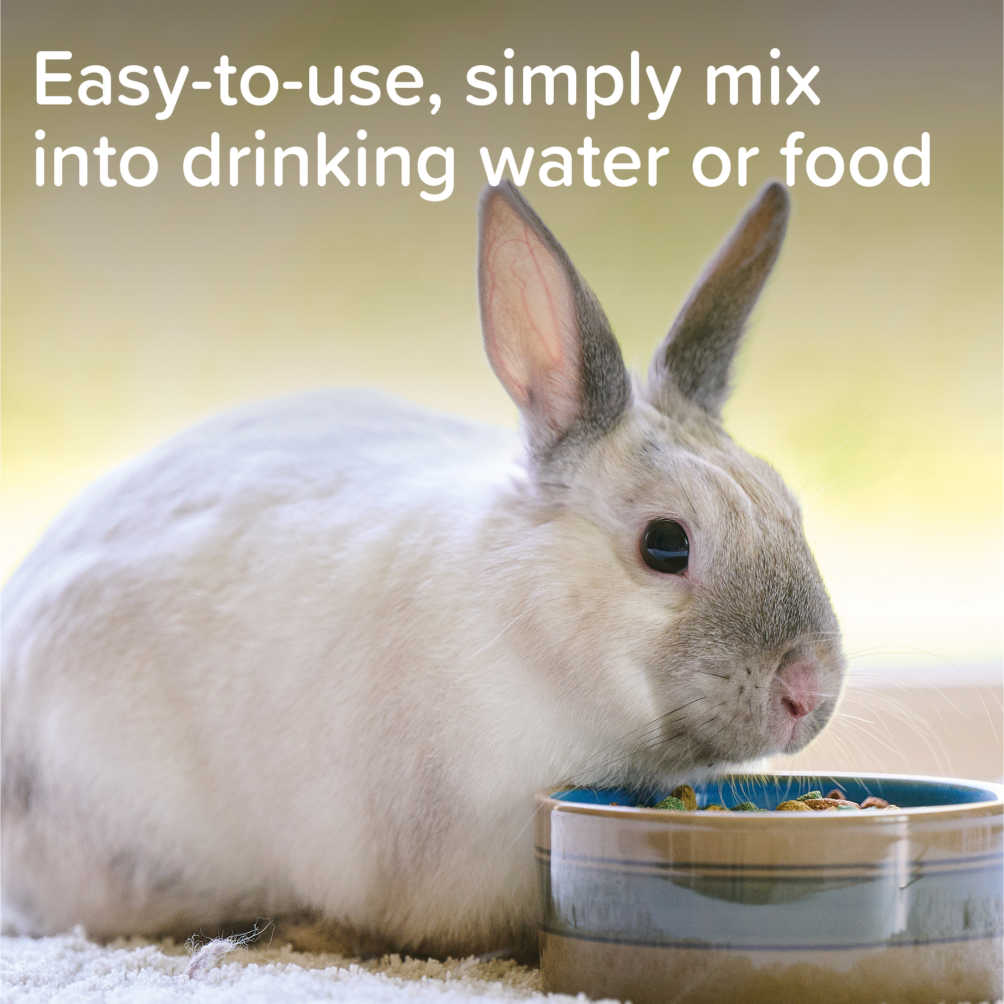 Beaphar Multi-Vitamin Supplement for Rabbits, 100ml