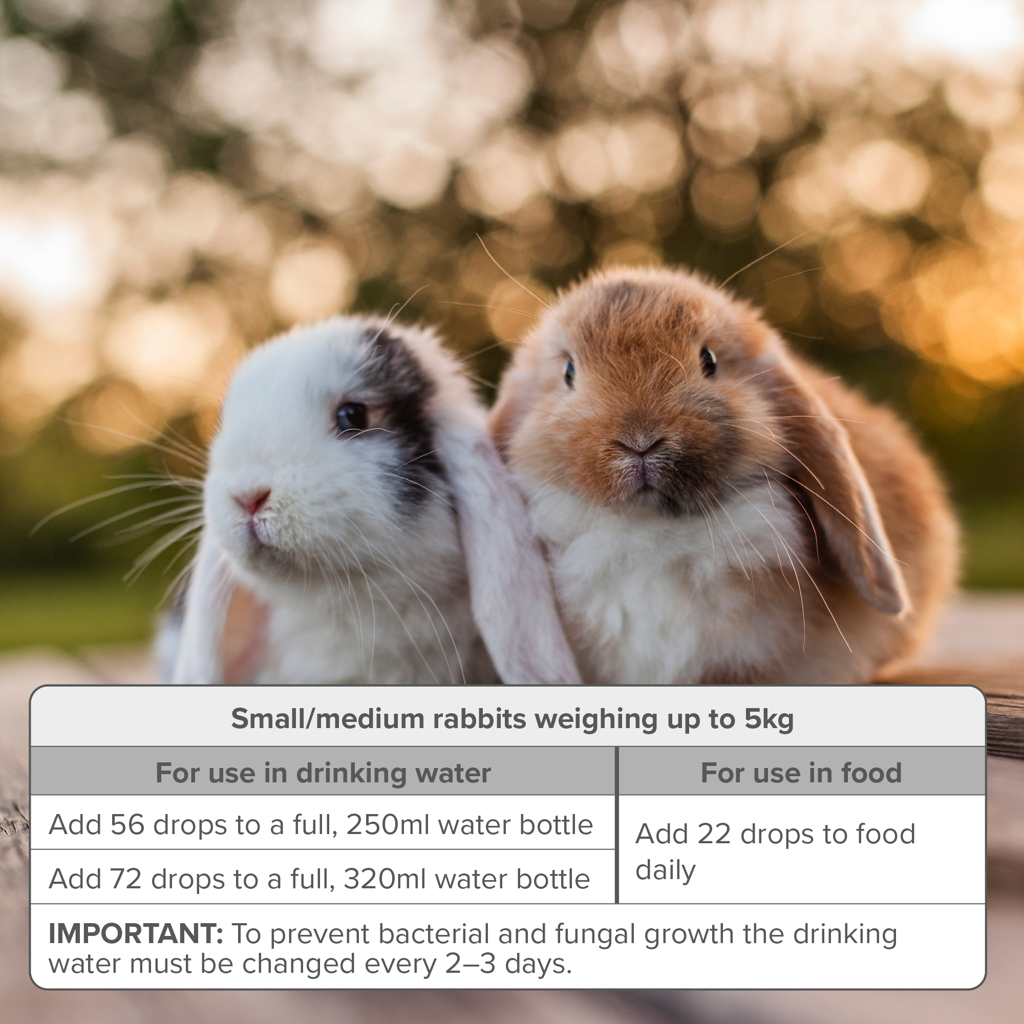 Beaphar Multi-Vitamin Supplement for Rabbits, 100ml