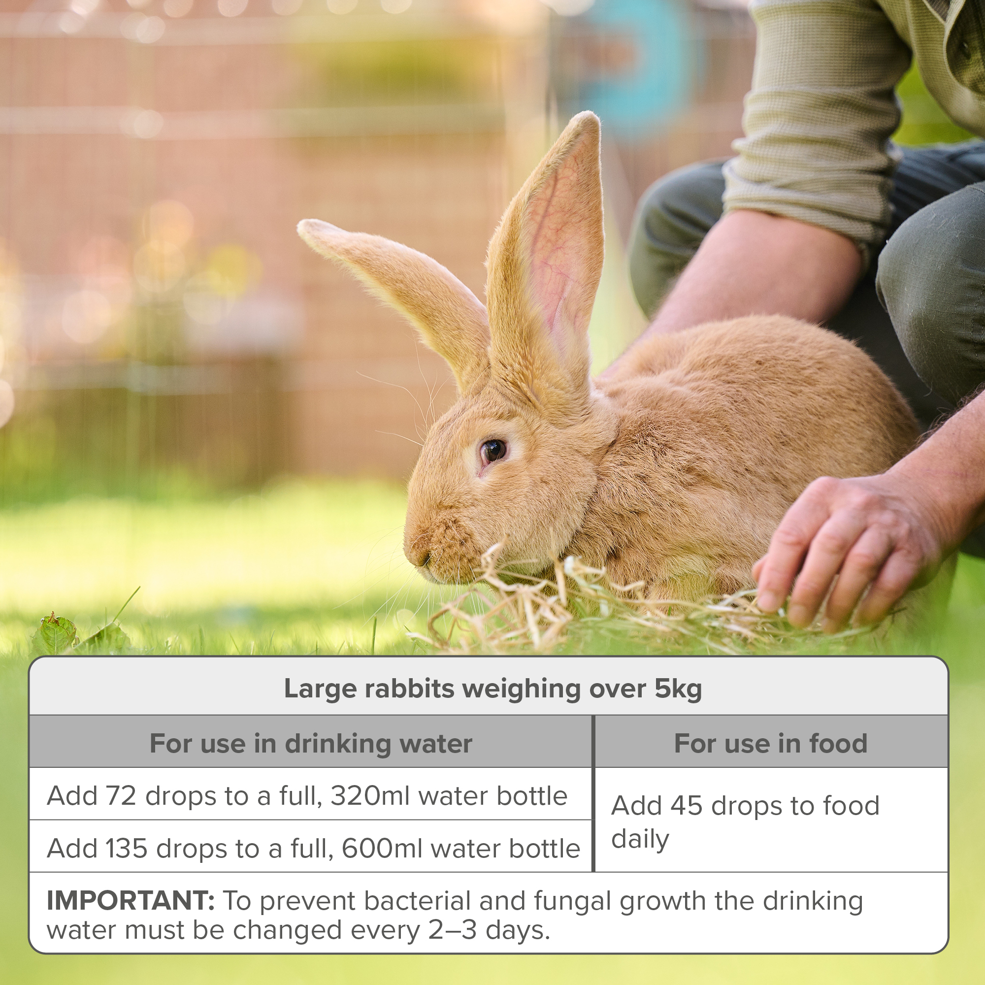 Beaphar Multi-Vitamin Supplement for Rabbits, 100ml