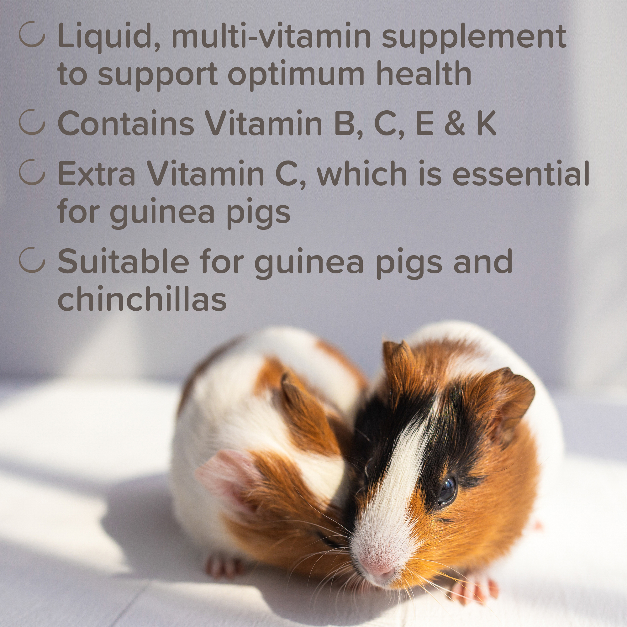 Beaphar Multi-Vitamin Supplement for Guinea Pigs and Chinchillas, 100ml