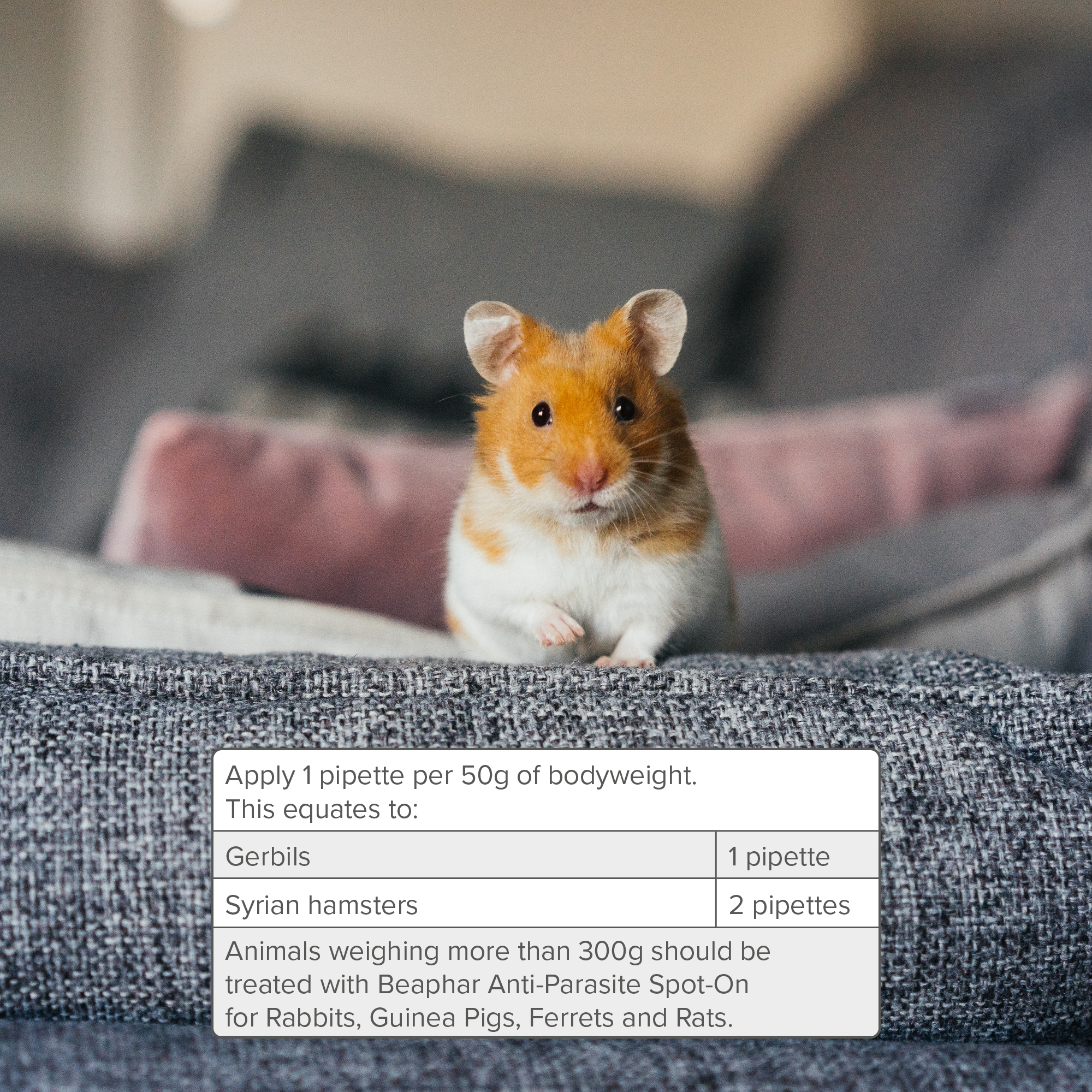 Beaphar Anti-Parasite Spot-On for Golden Hamsters & Gerbils, 2 pipettes