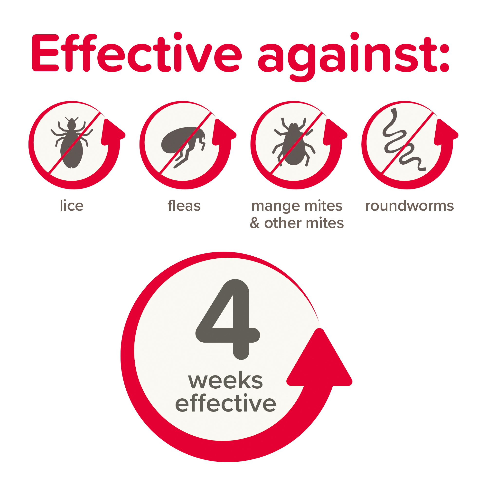 Beaphar Anti-Parasite Spot On for Rabbits, Guinea pigs, Ferrets and Rats (weighing >300g)