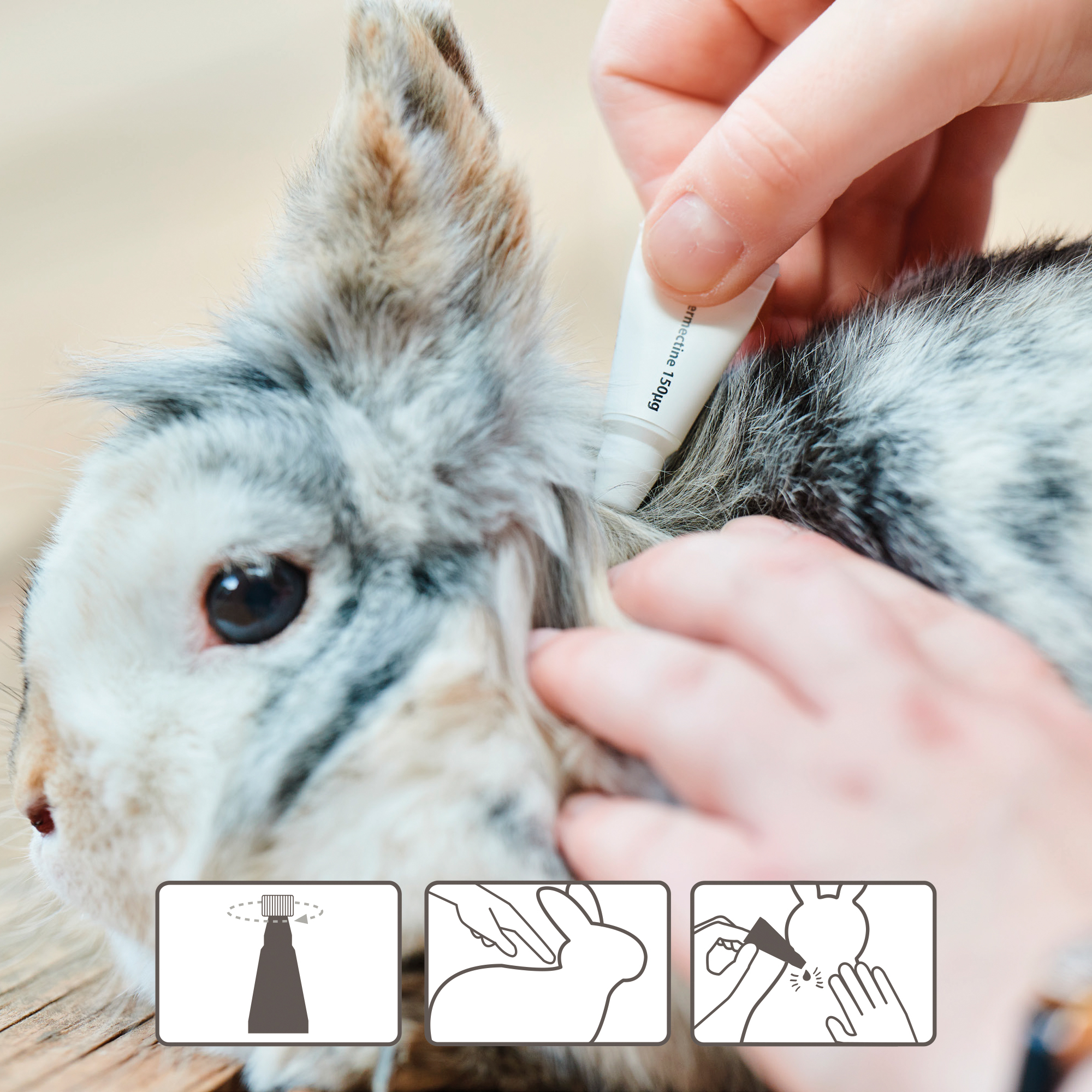 Beaphar Anti-Parasite Spot On for Rabbits, Guinea pigs, Ferrets and Rats (weighing >300g)